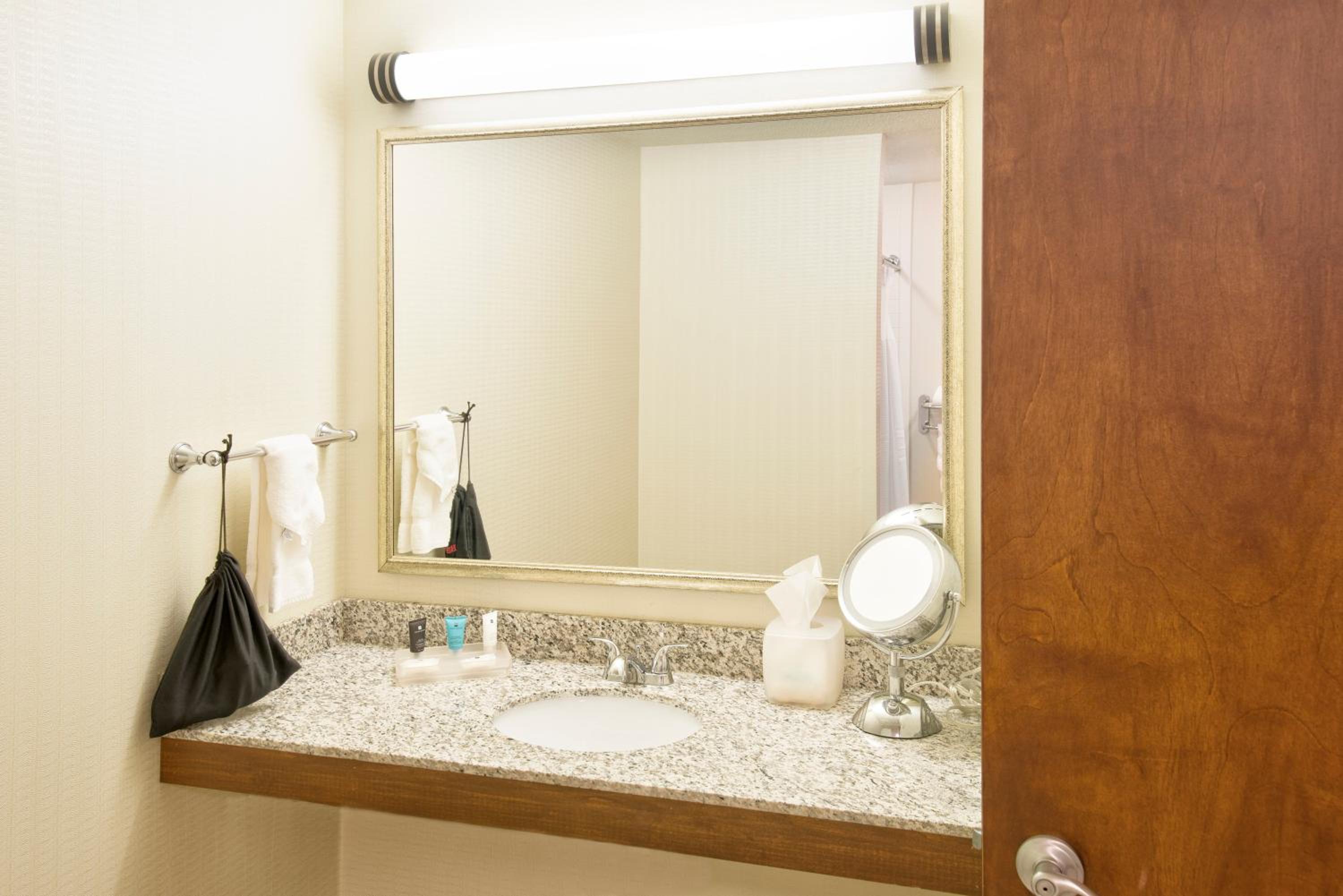 King Room with Mobility Accessible Roll-In Shower