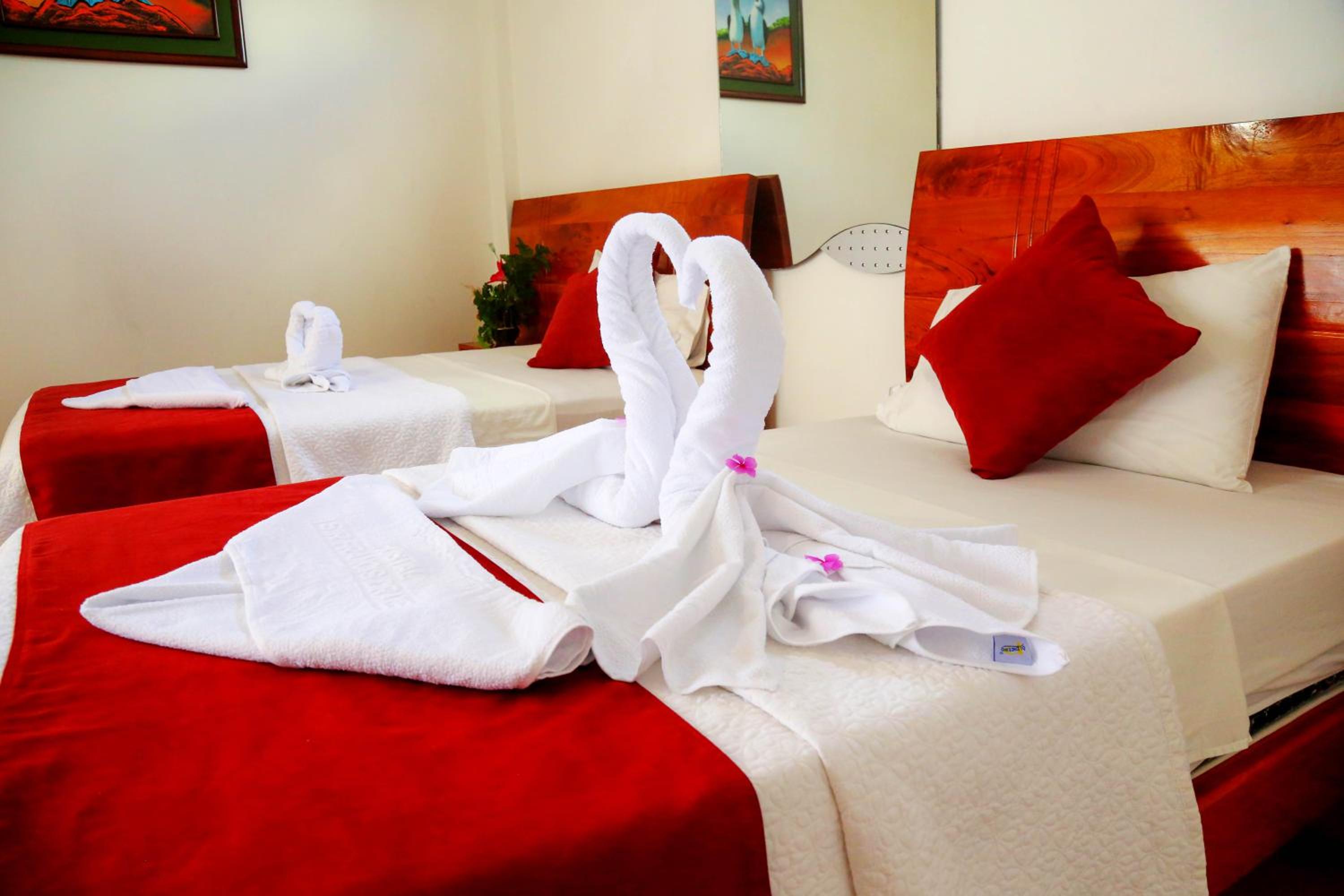 Premium Double or Twin Room photo 2