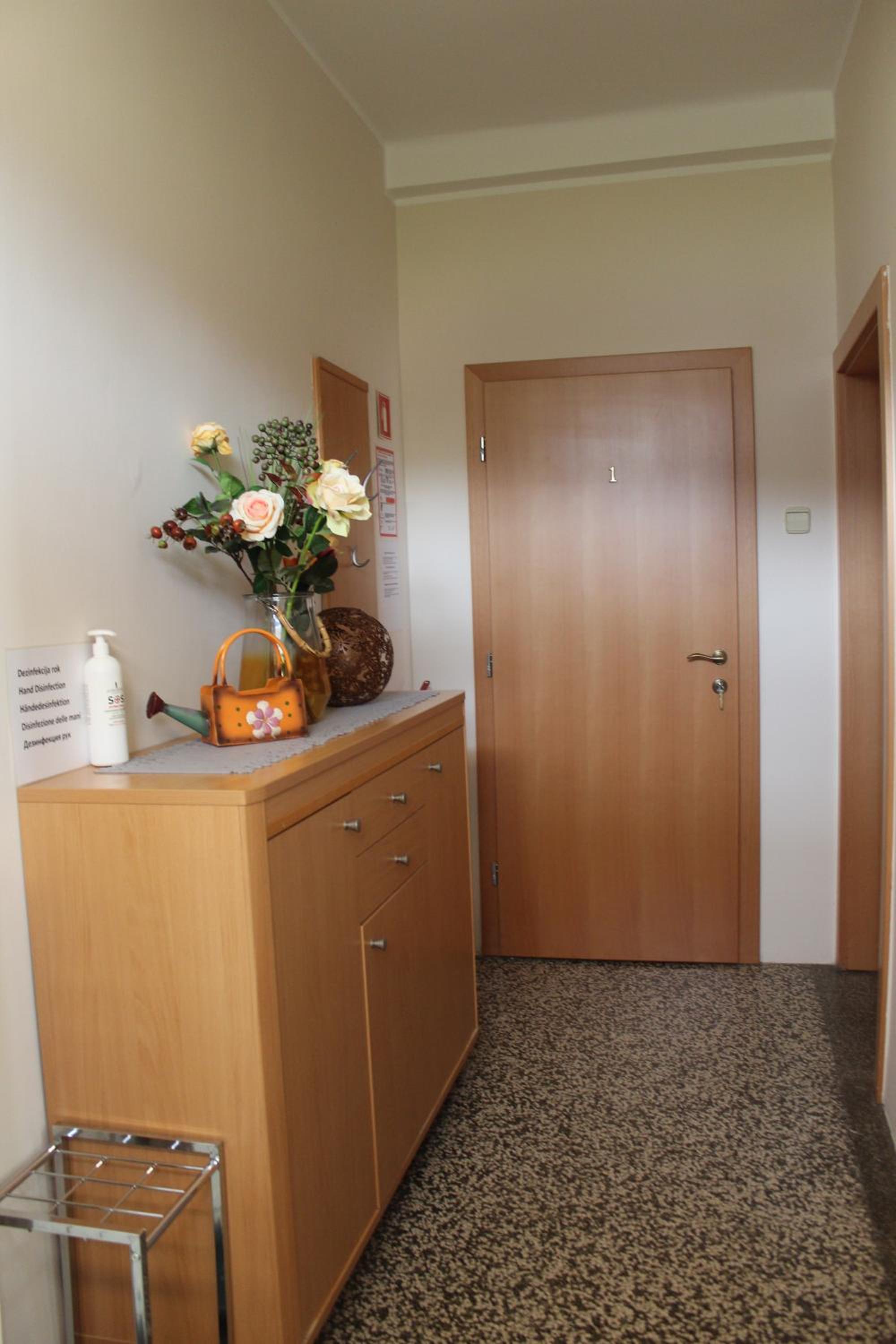 Apartment with Terrace photo 3