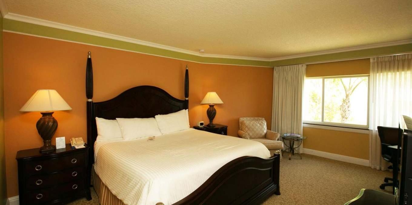 King Room - Non-Smoking - Photo 2