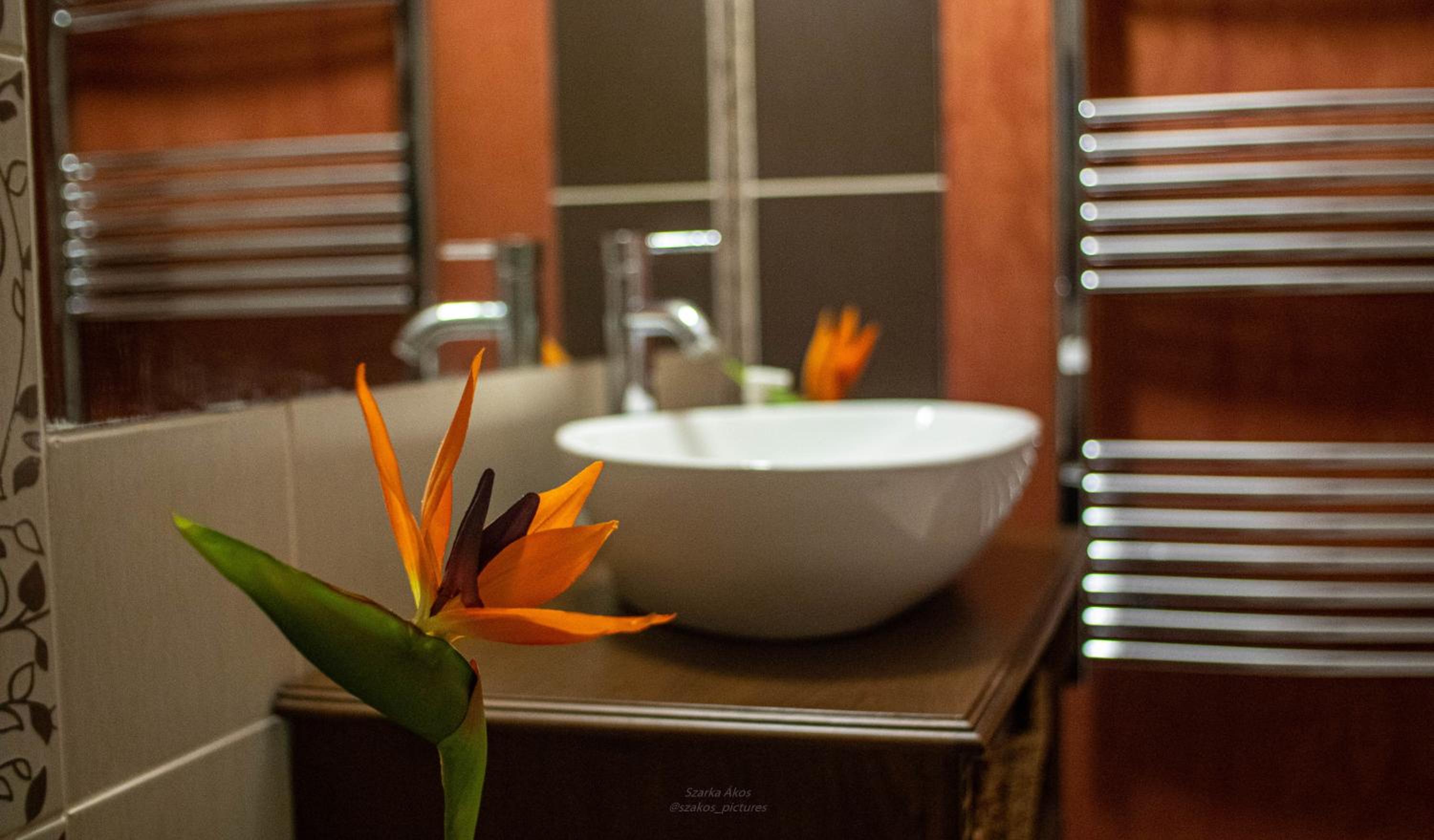 Deluxe Double Room with Bath - Photo 4