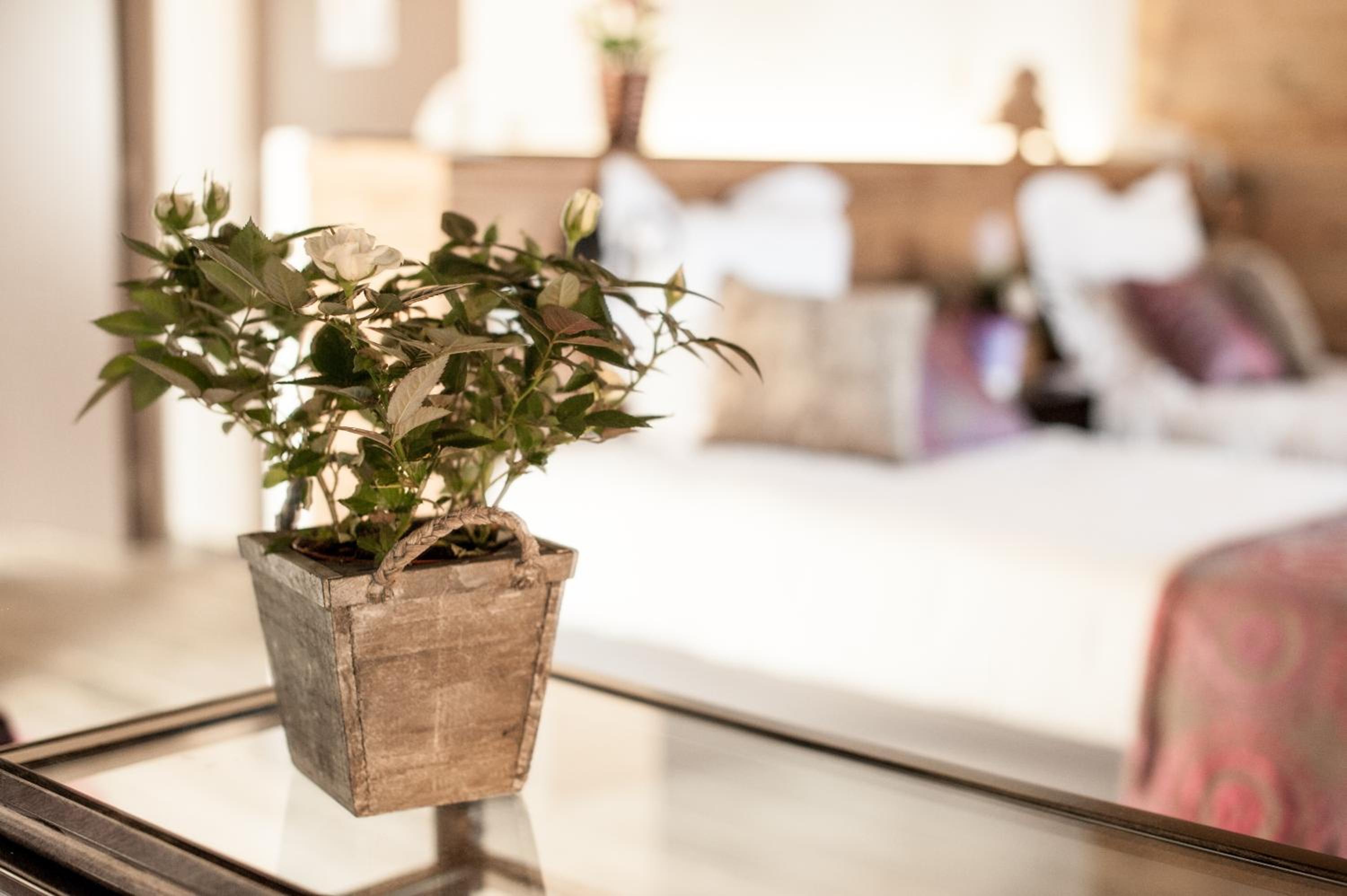 Privilege Suite - Photo 8