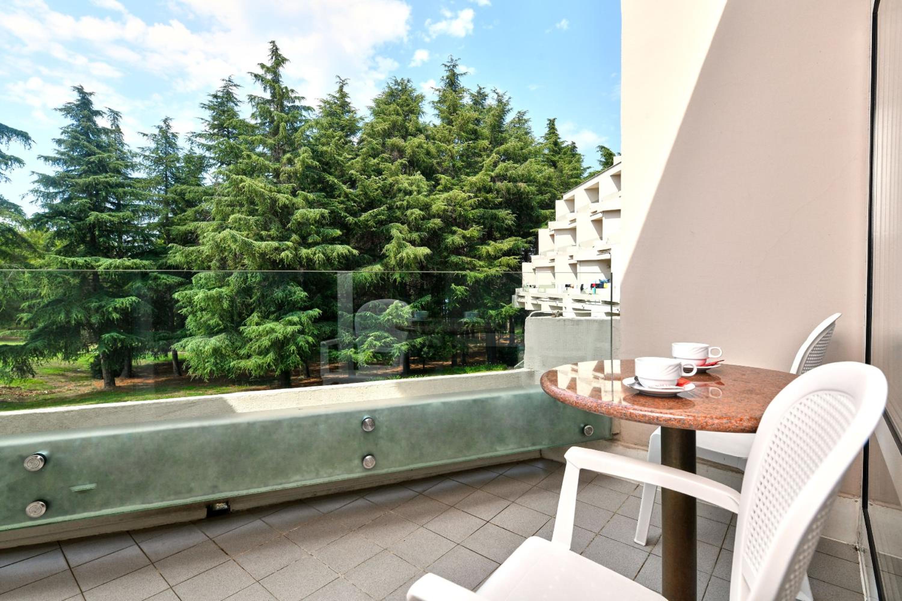 Classic Room with Balcony - Park Side - Photo 2