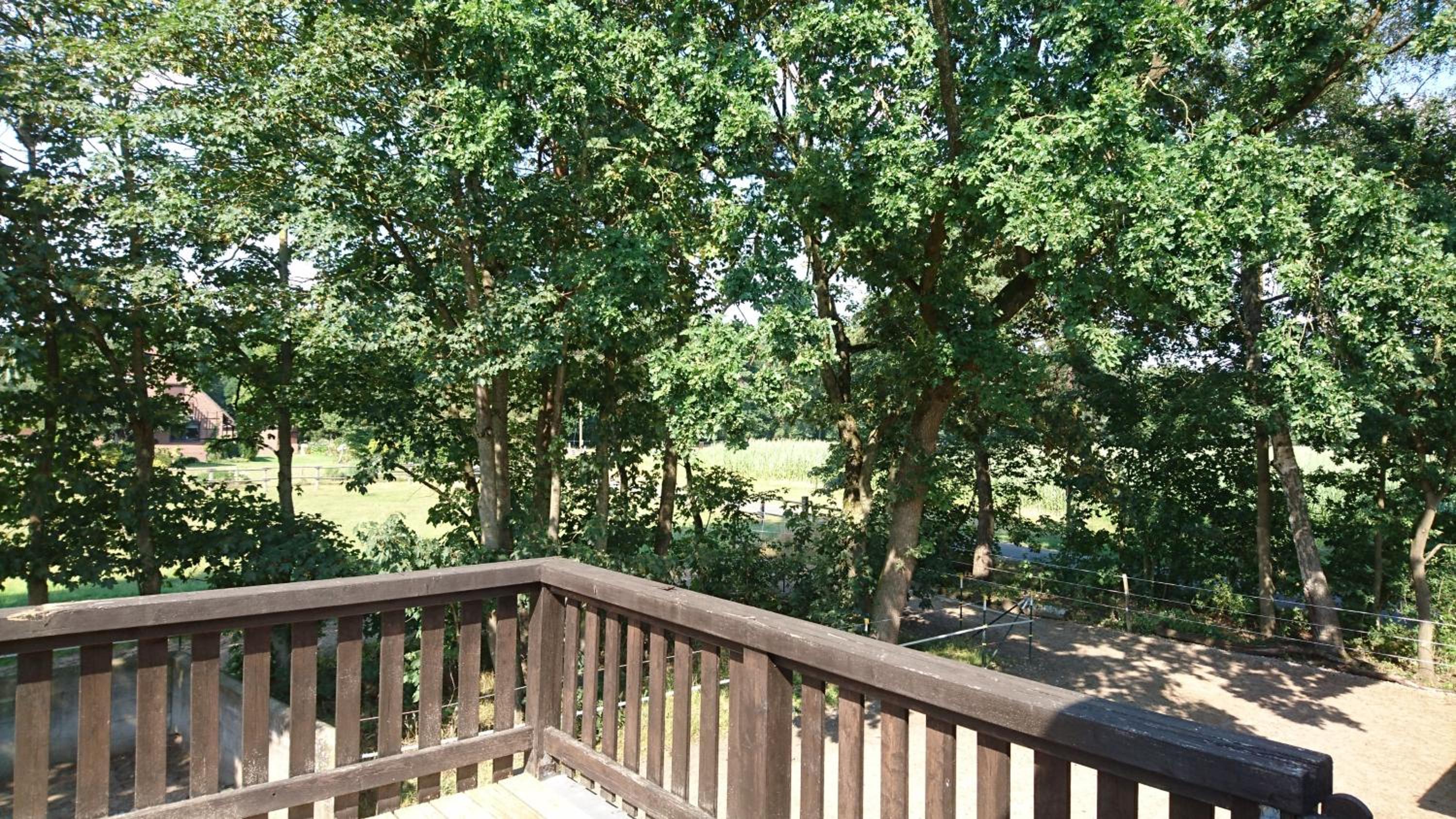 Apartment with Terrace photo 3