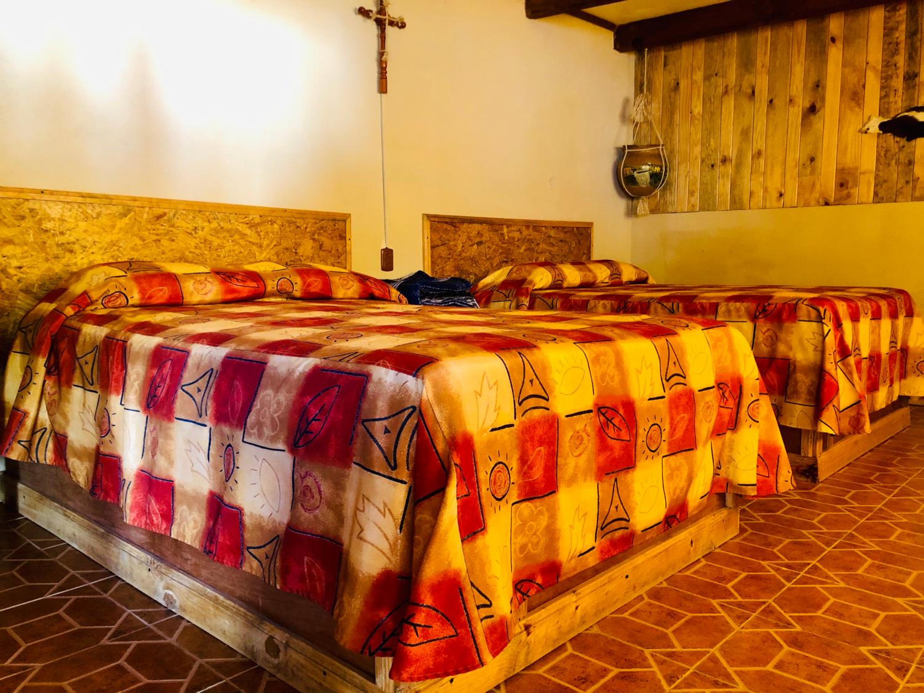 Quadruple Room - Photo 19