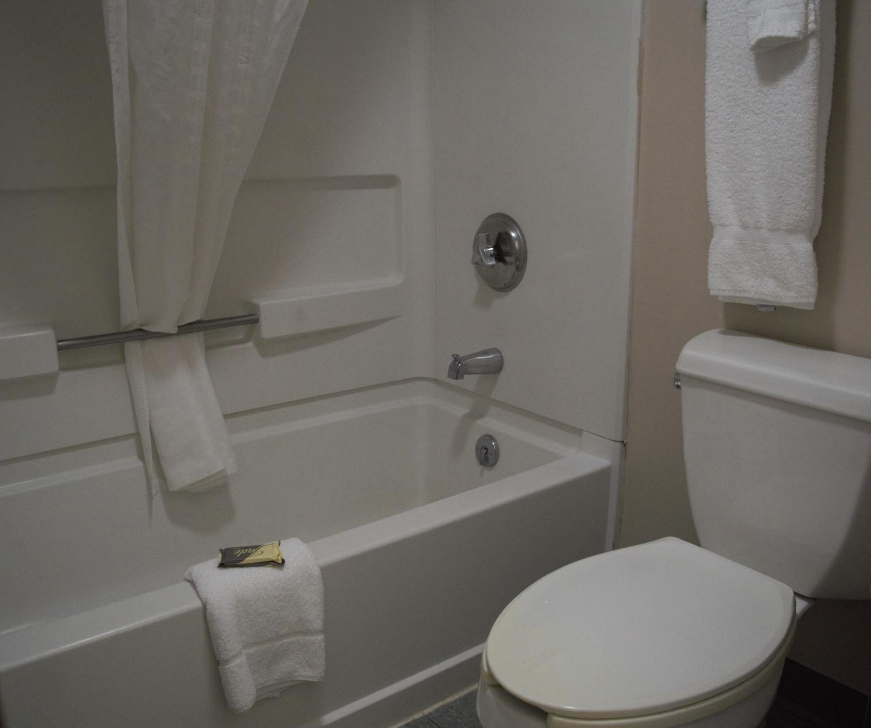 Double Room with Two Double Beds - Pet-Friendly photo 2