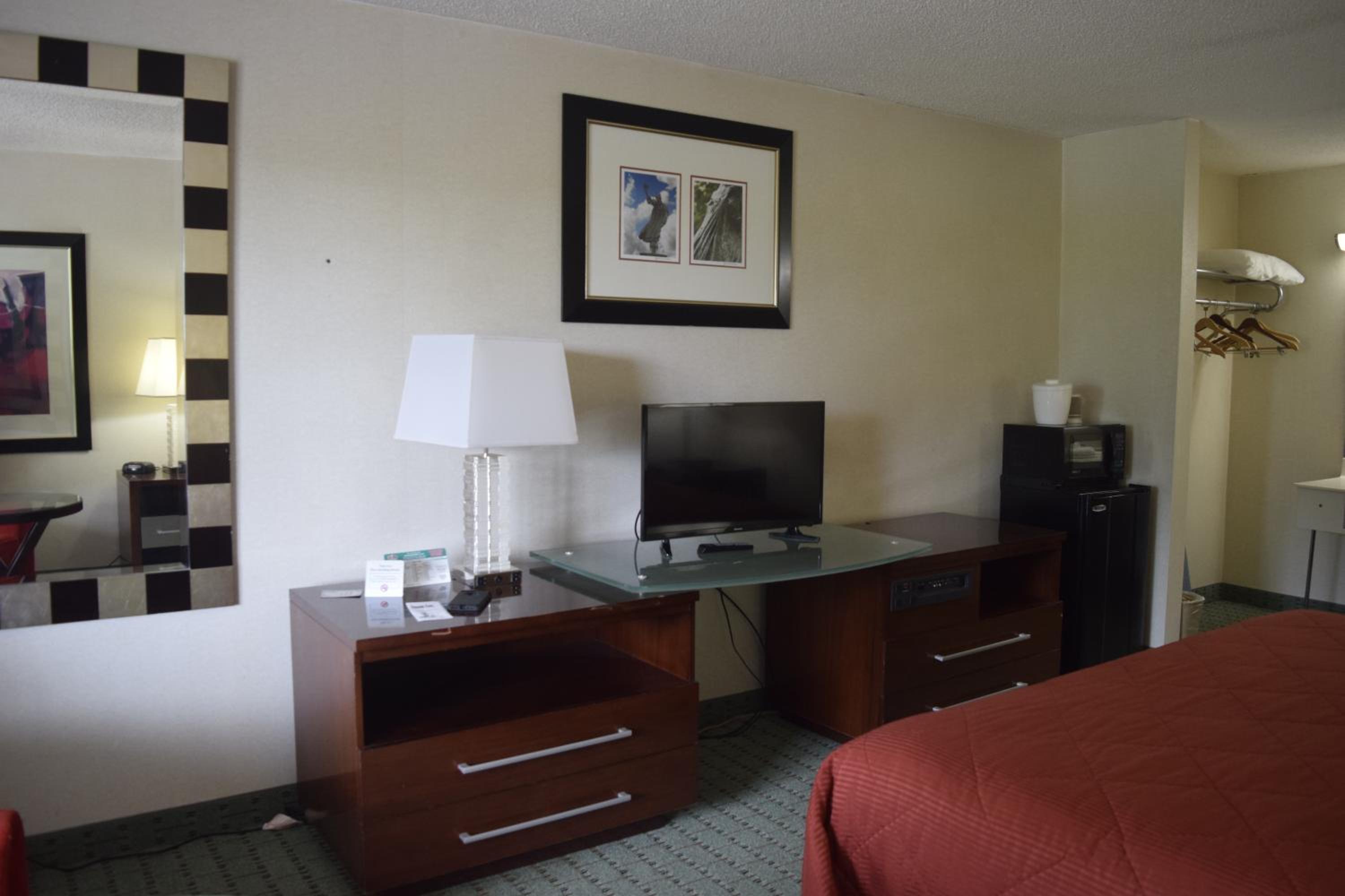 King Room - Pet-Friendly