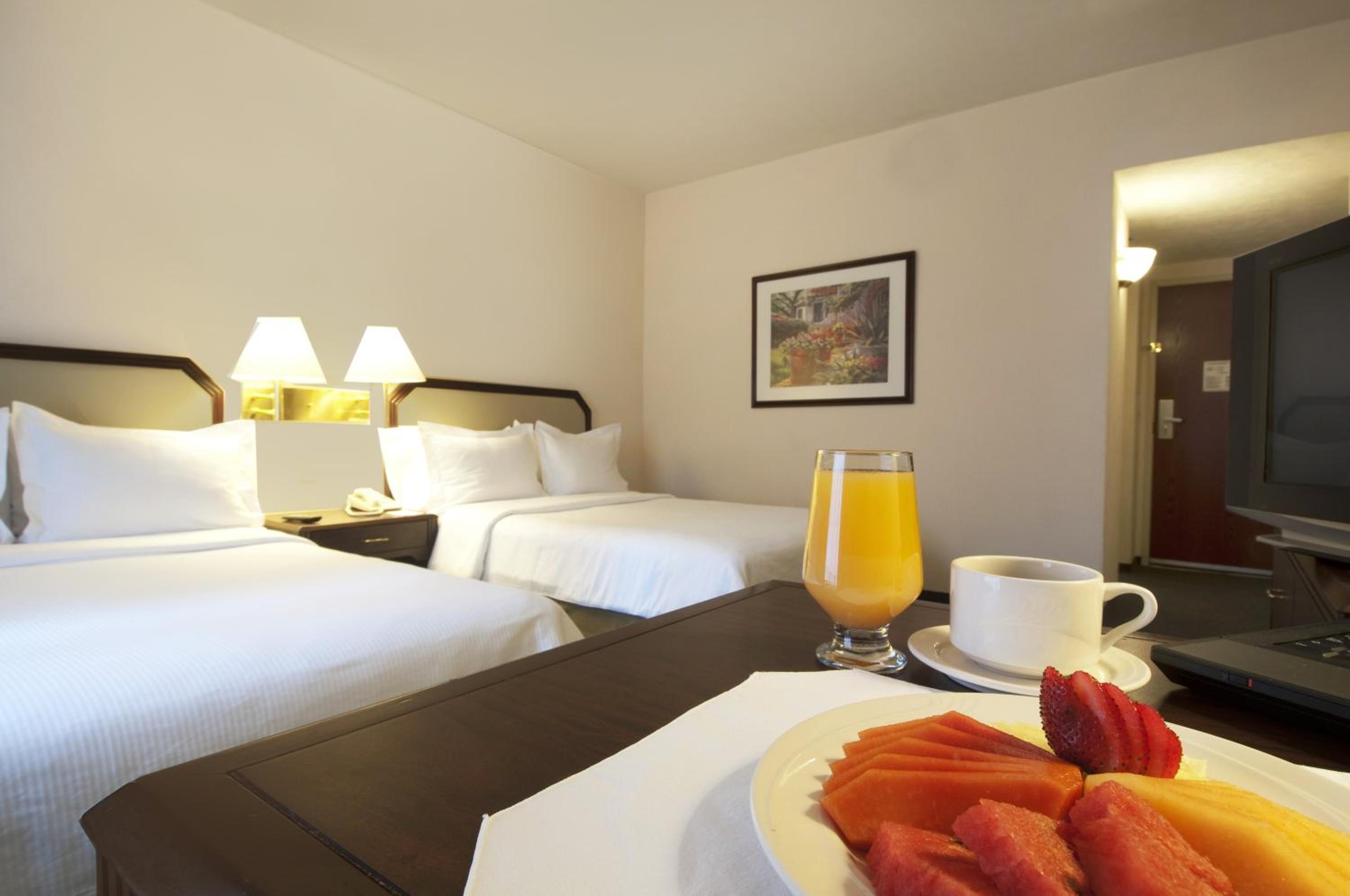 Double Room with Two Double Beds