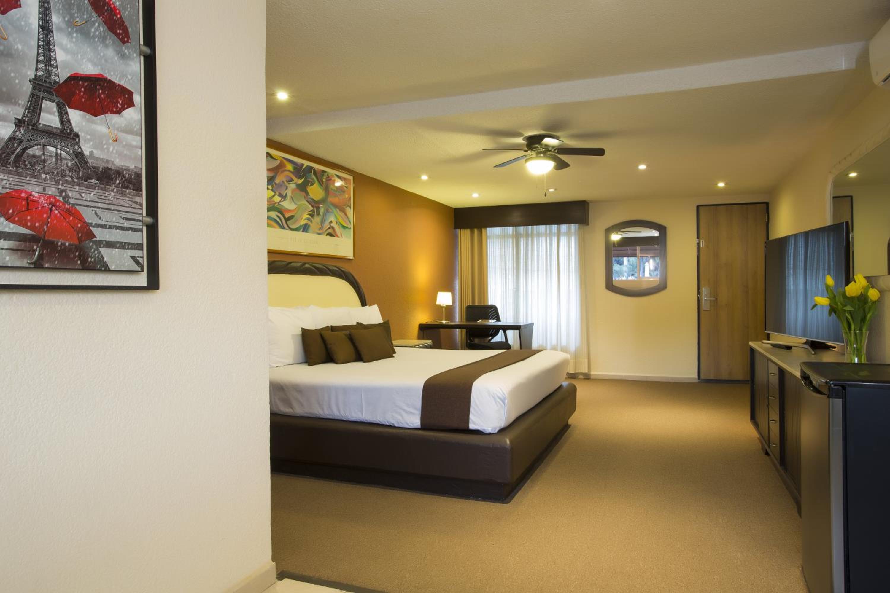 Superior Double Room photo 2