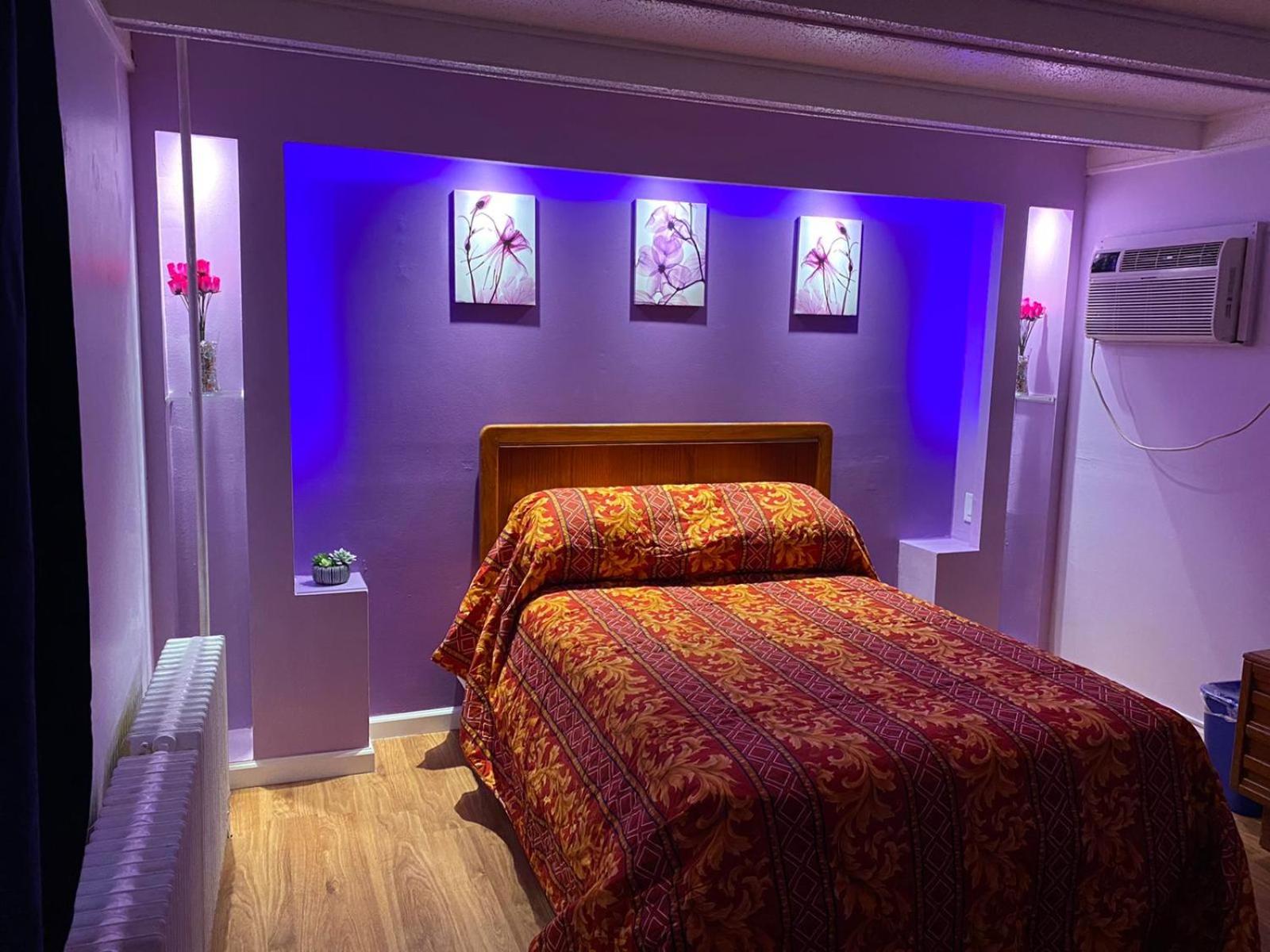 King Bed Non-Smoking - Photo 8