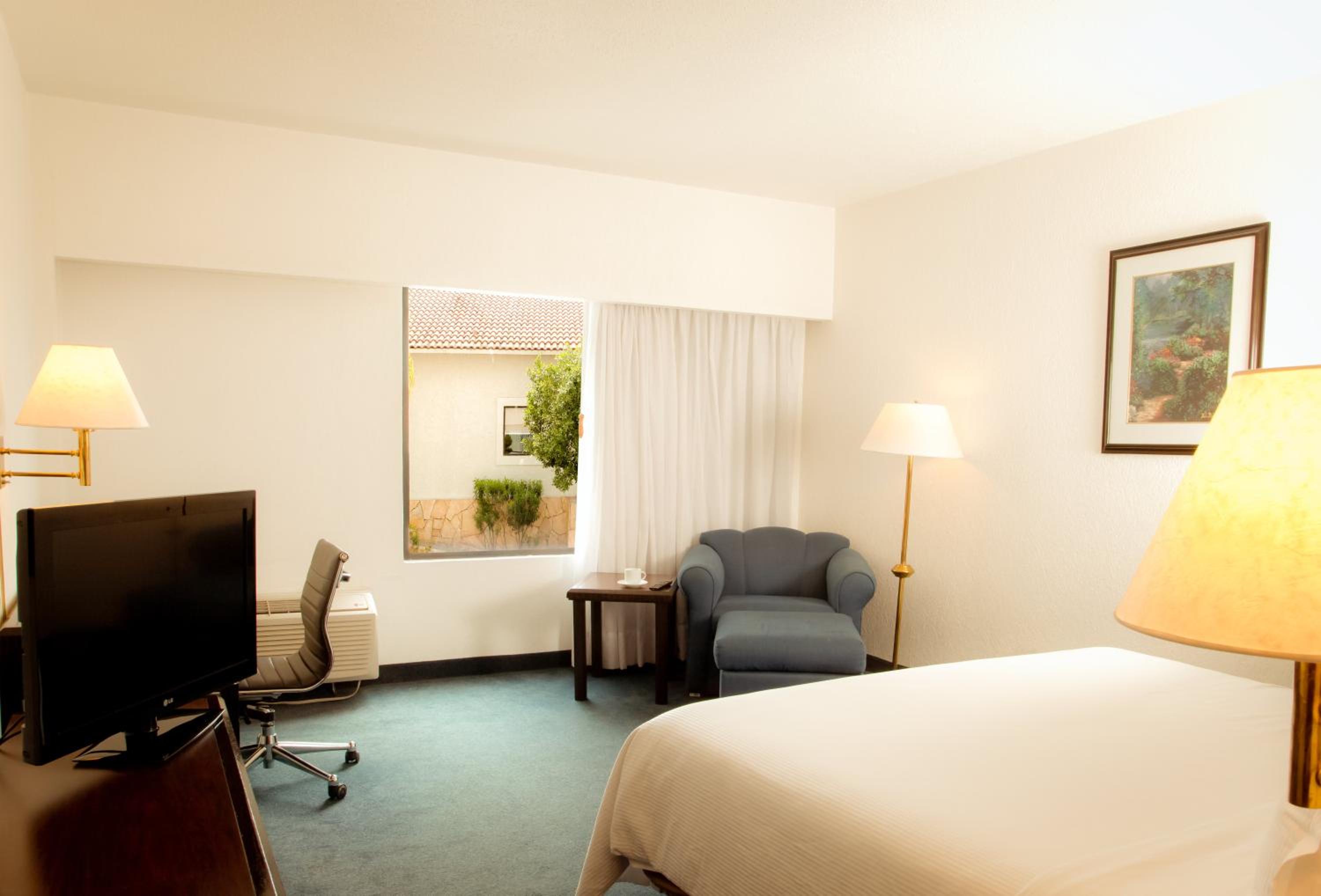 King Room photo 1