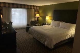King Suite with Mobility Accessible Tub - Photo 1