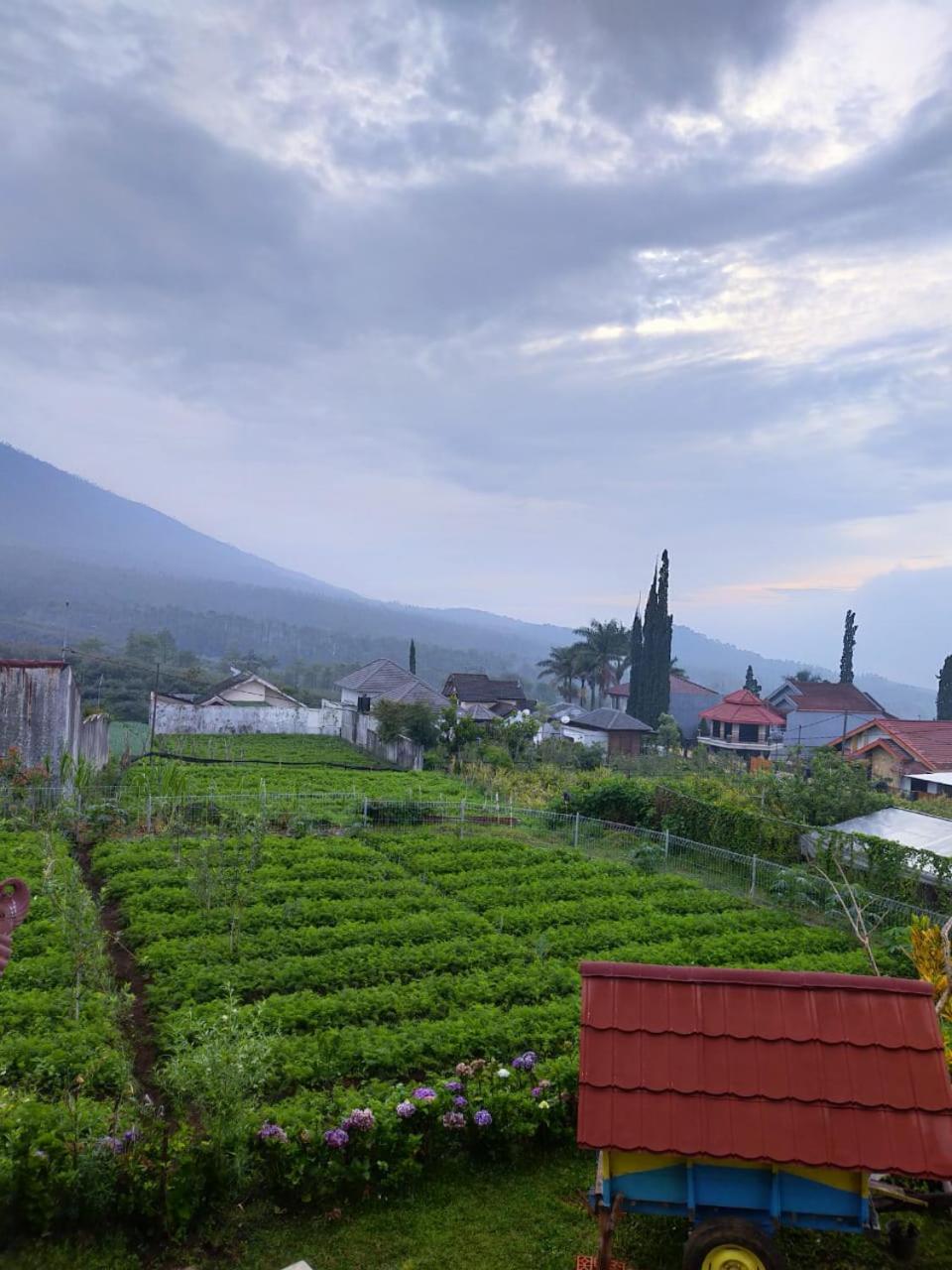 Villa - Photo 21