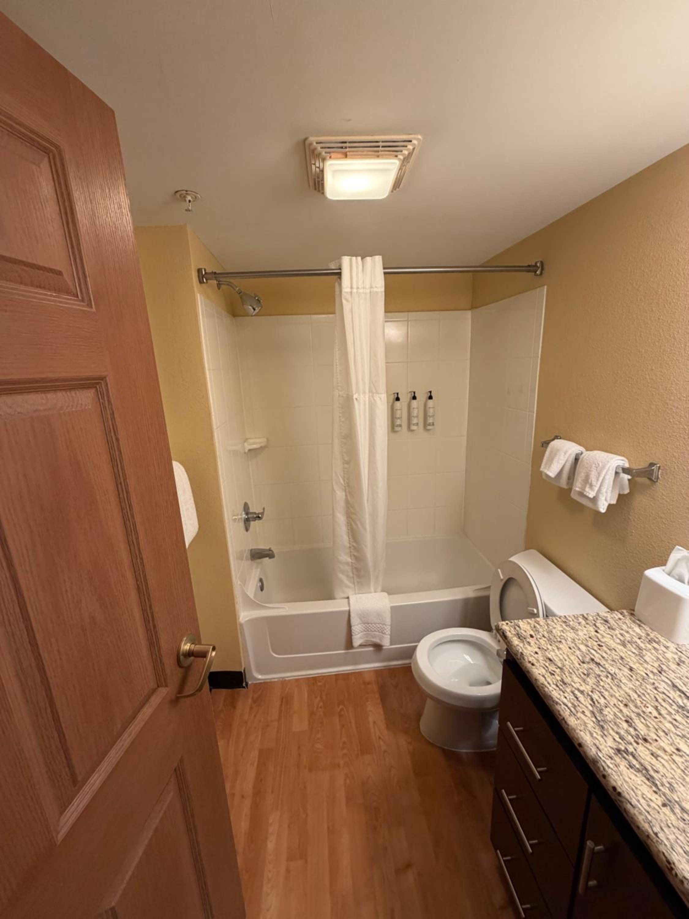 Accessible Efficiency Queen Room Non smoking