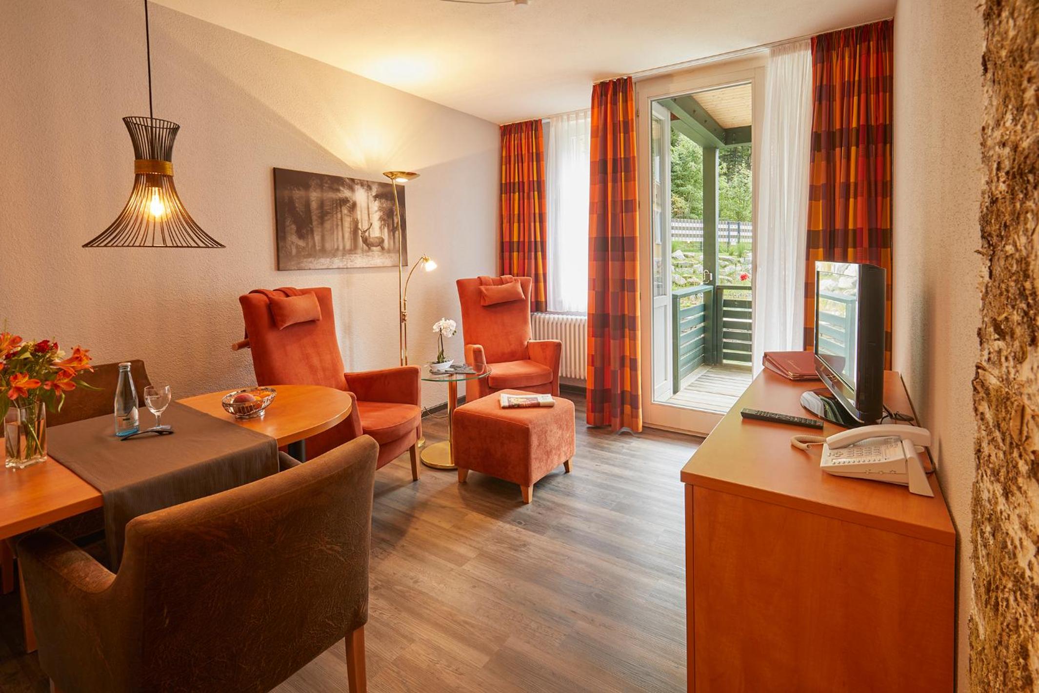 Comfort Apartment 1