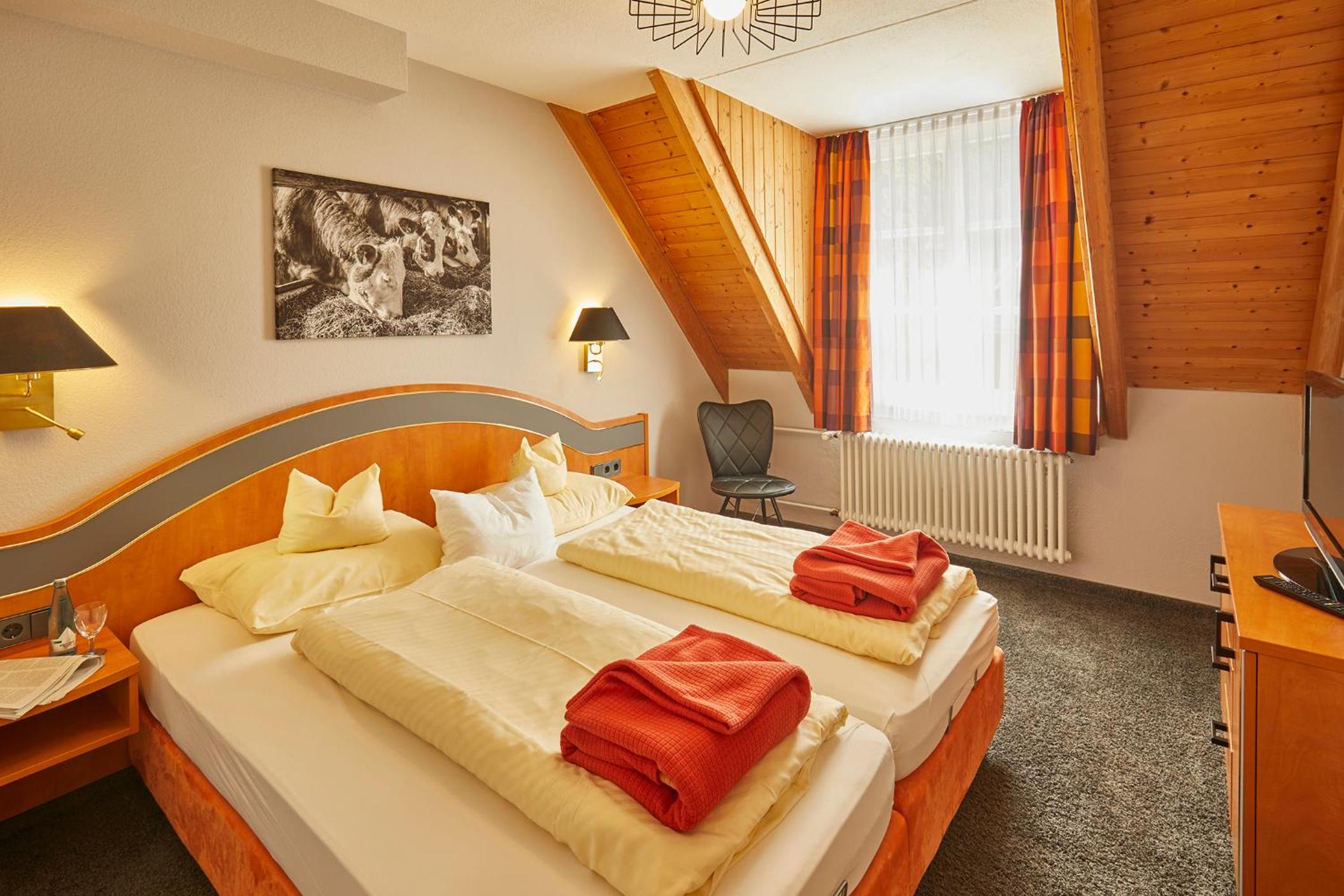 Comfort Apartment 3