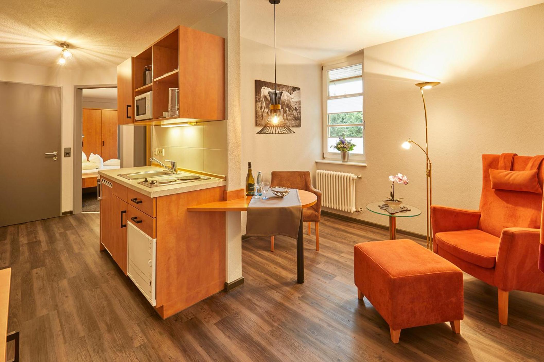 Comfort Single Apartment