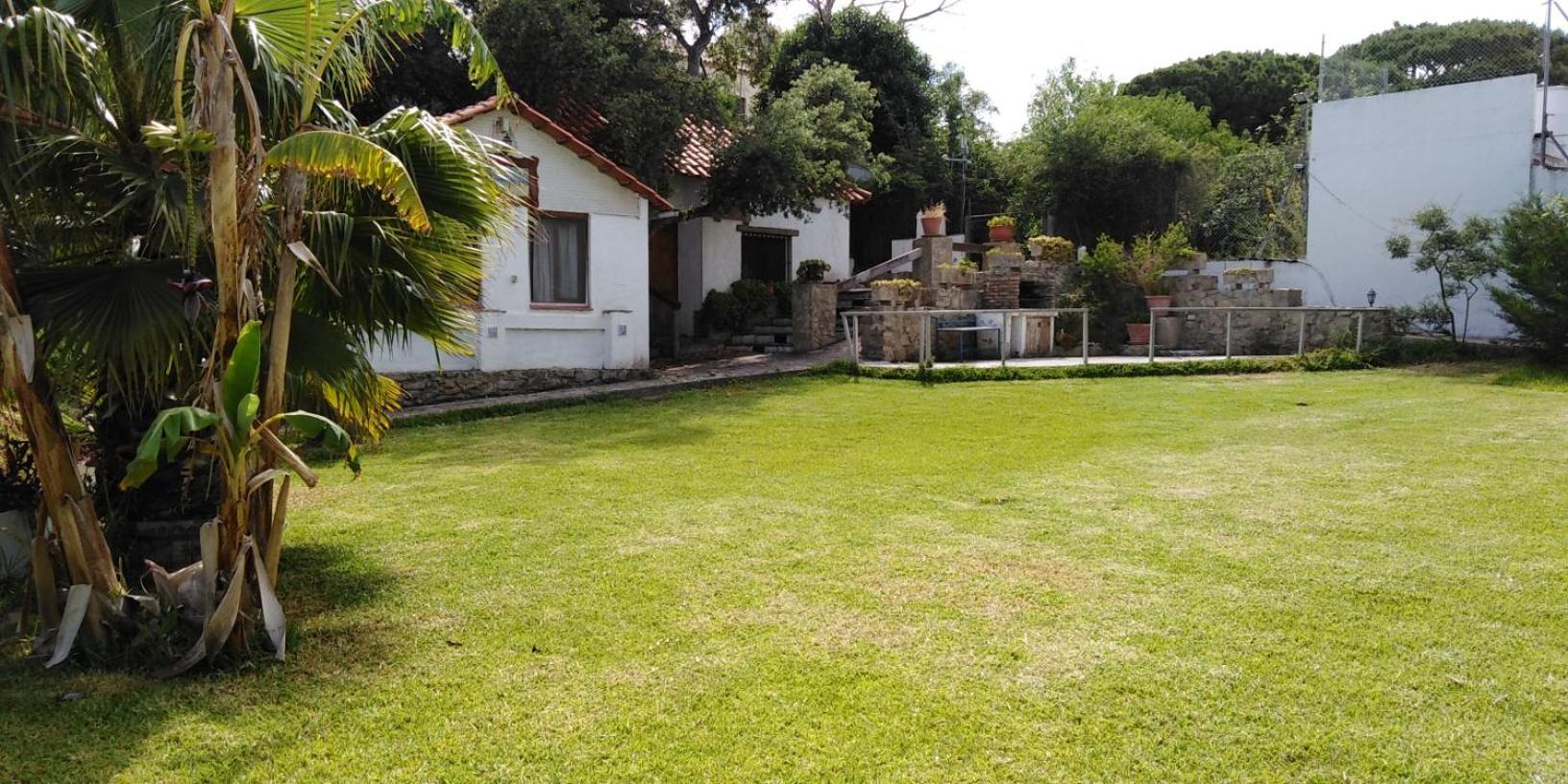 One-Bedroom Bungalow photo 3