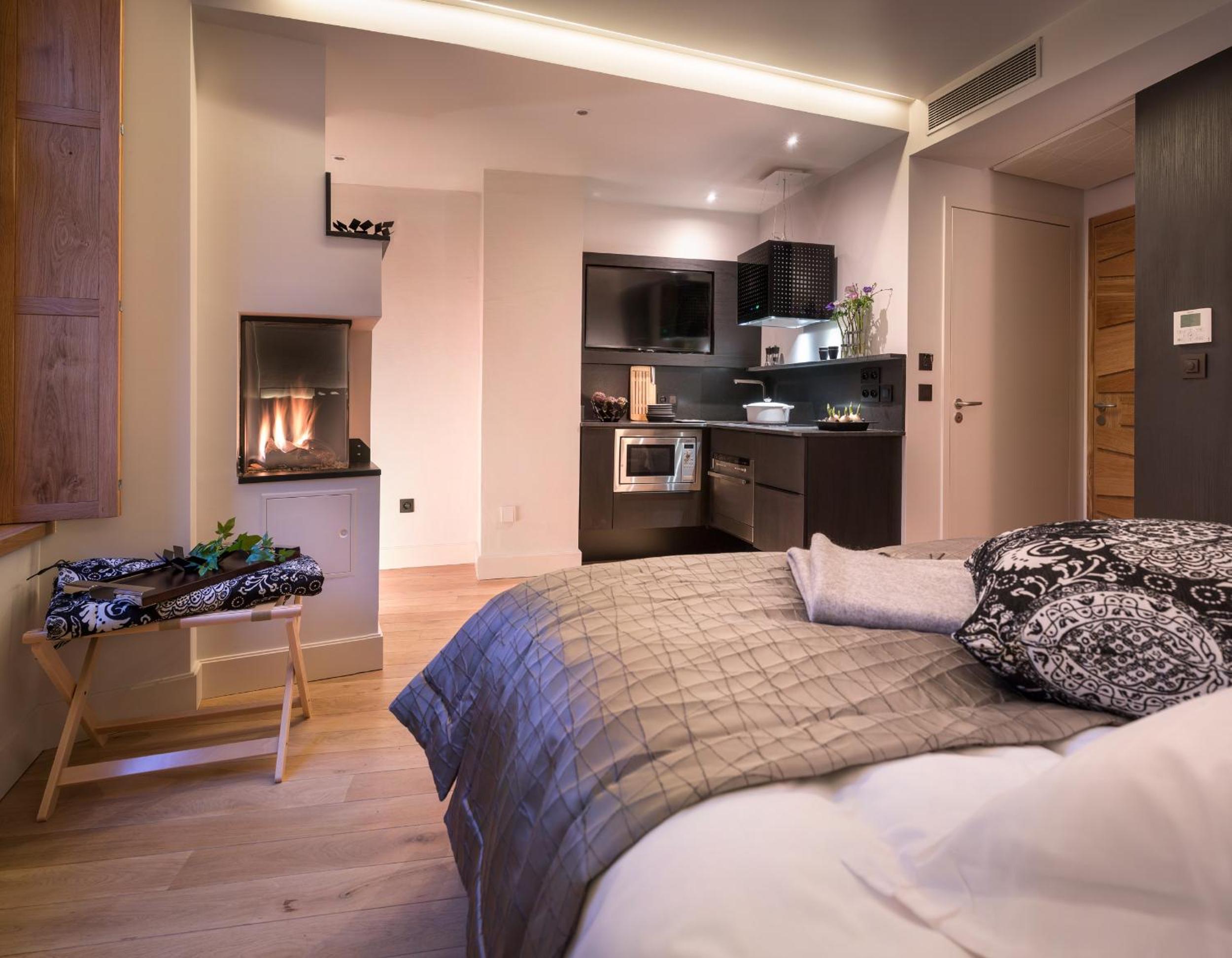 Studio with Fireplace and Spa Shower Studio with Fireplace and Spa Shower