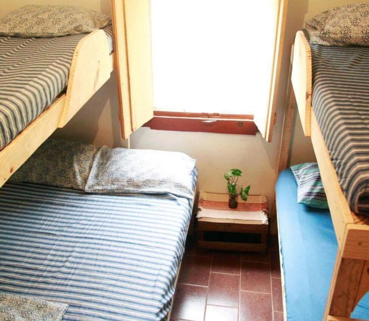 Mixed Dormitory Room photo 1