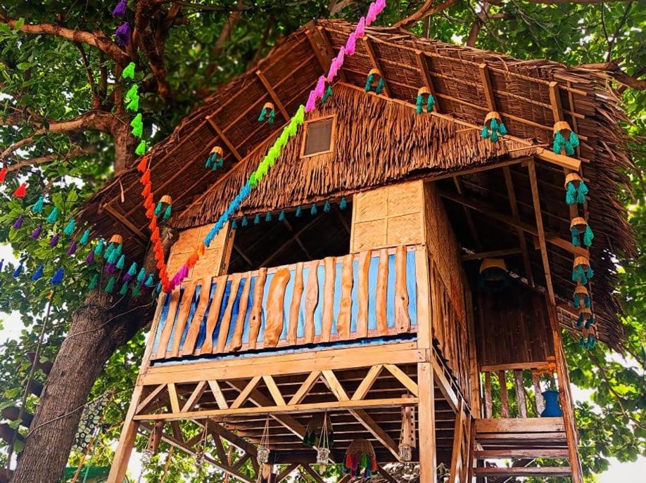 Treehouse with Sea View photo 1