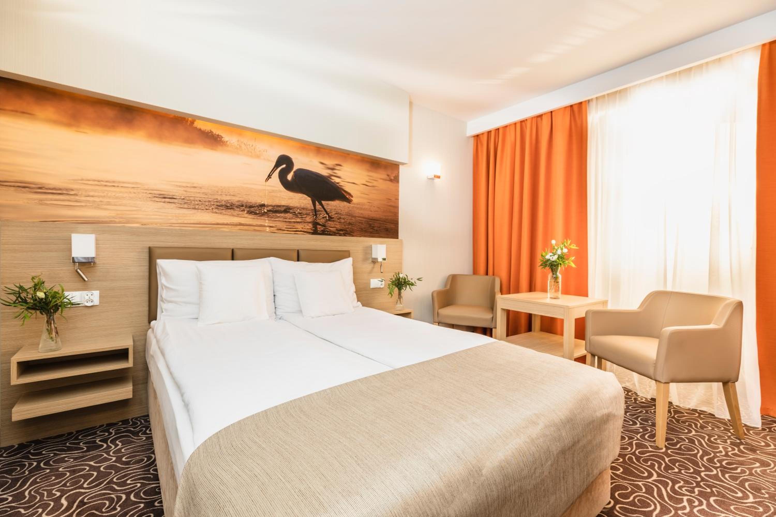 Standard  Double Room - Photo 1