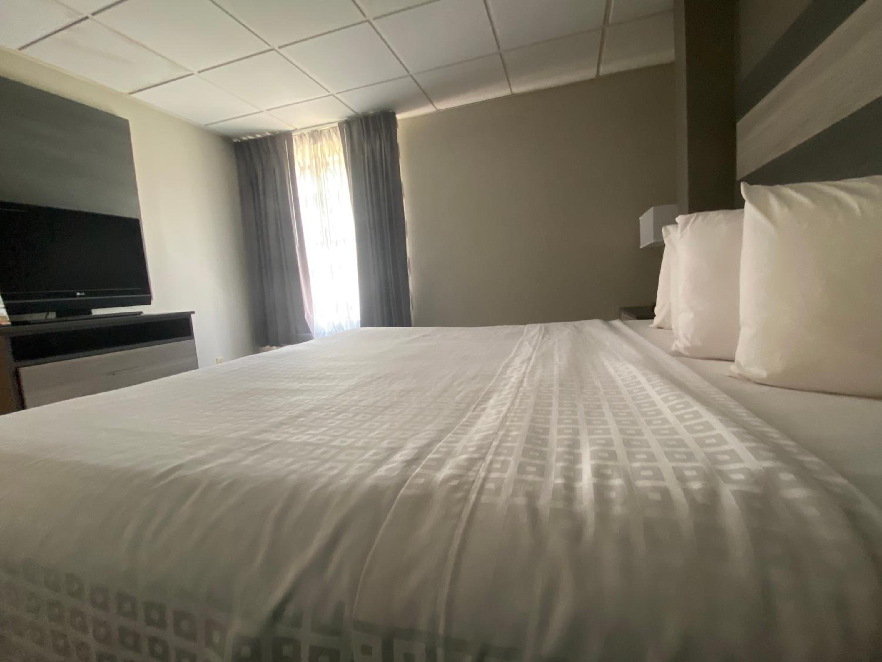 One-Bedroom King Suite - Non-Smoking - Photo 1