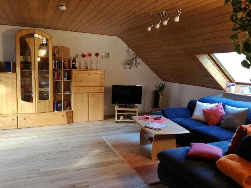Large One-Bedroom Apartment photo 1