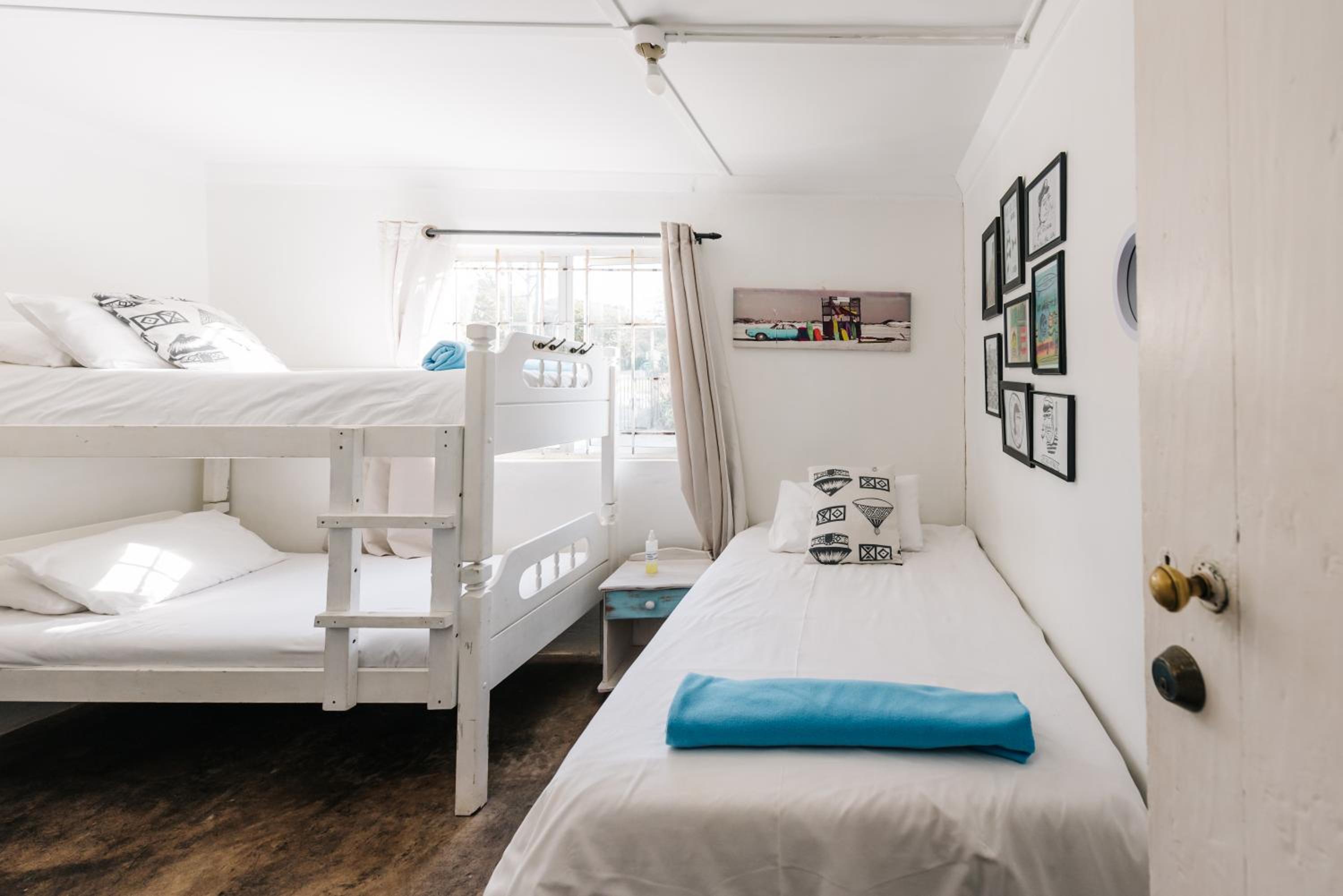 Bunk Bed in Mixed Dormitory Room photo 2
