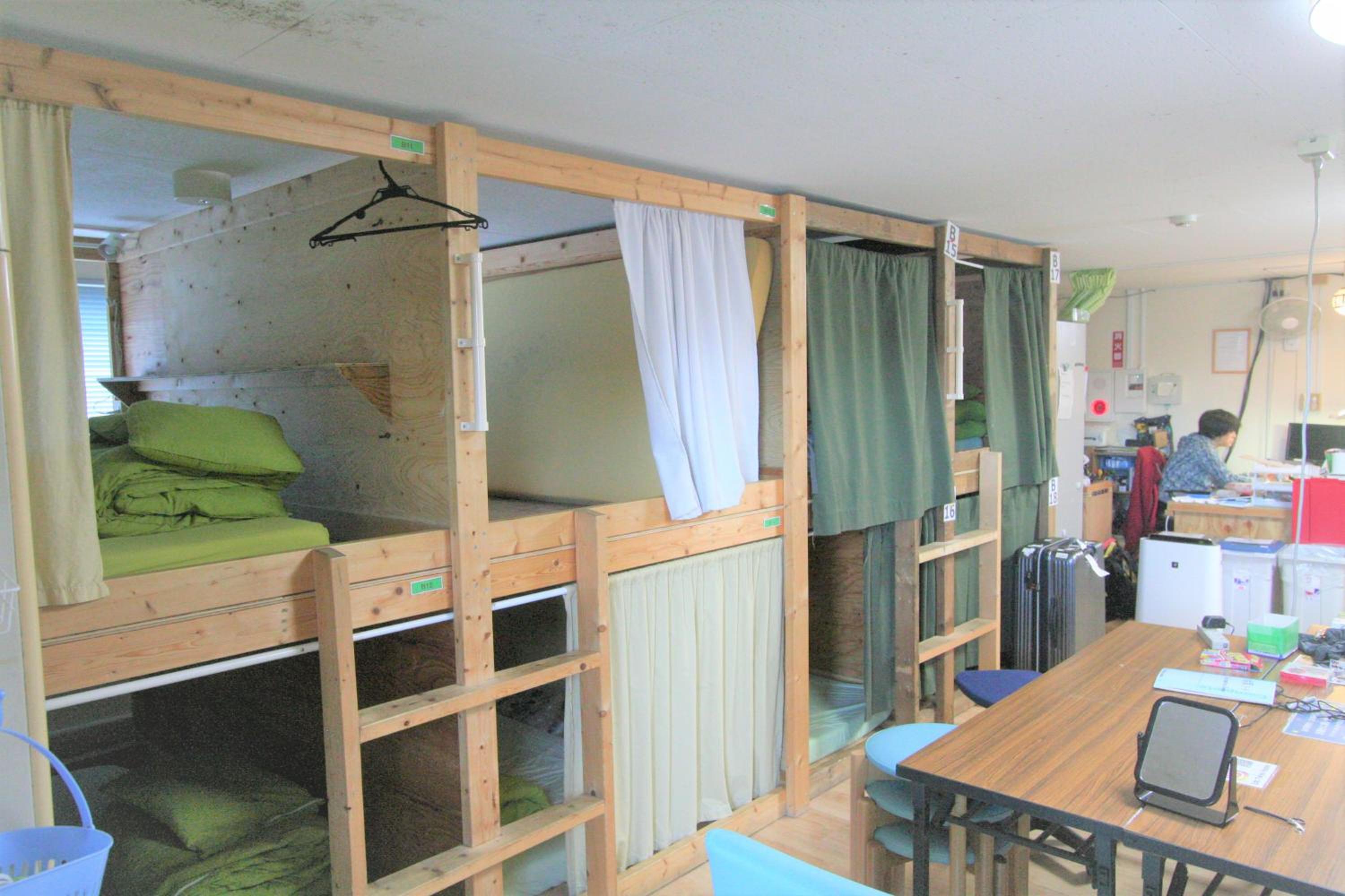Bunk Bed in Mixed Dormitory Room photo 1