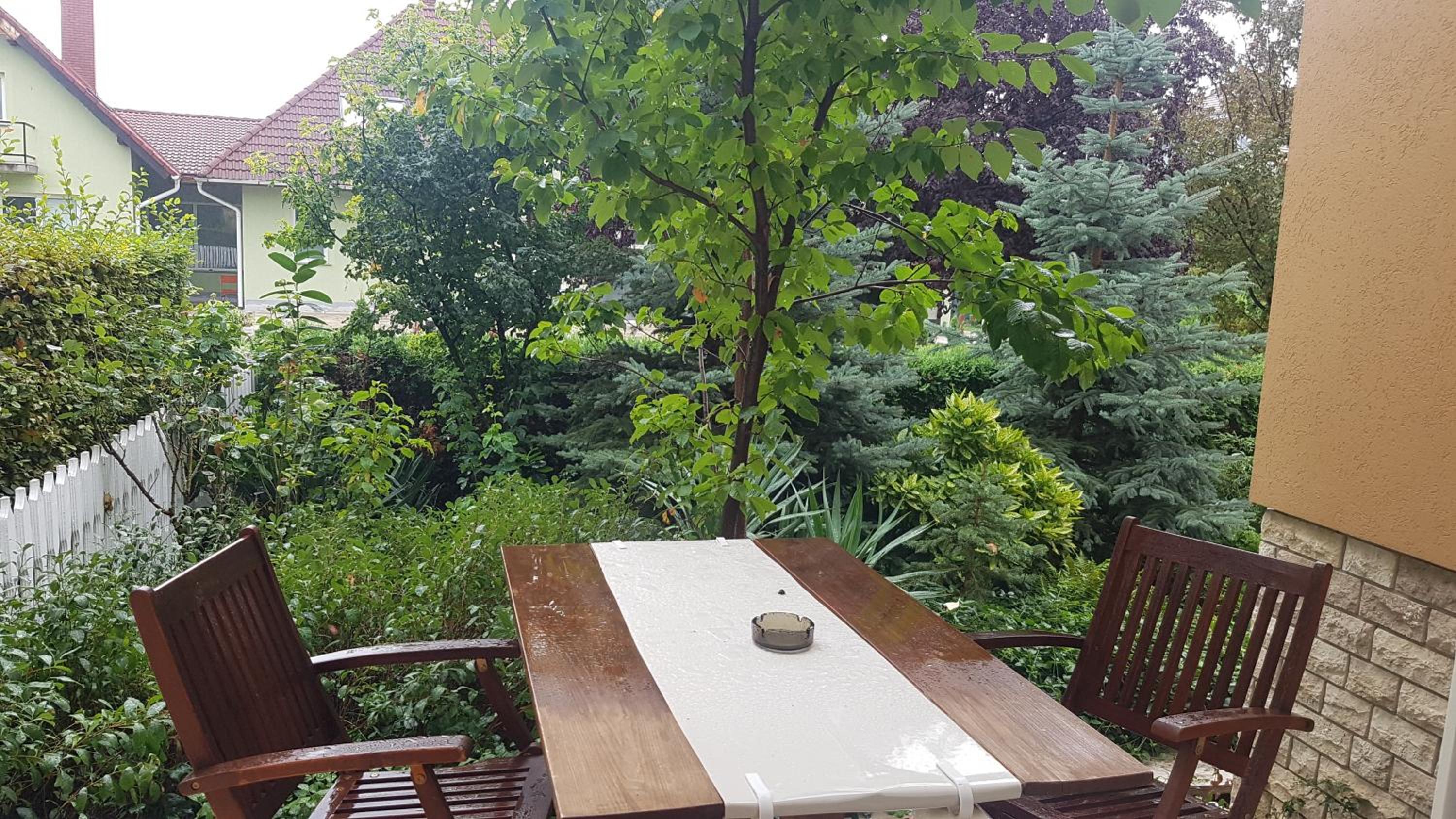 Studio with Terrace photo 1