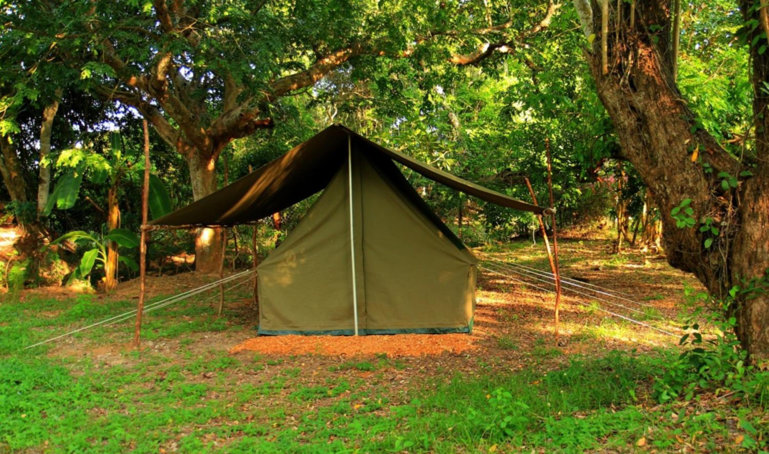 Tent photo 3