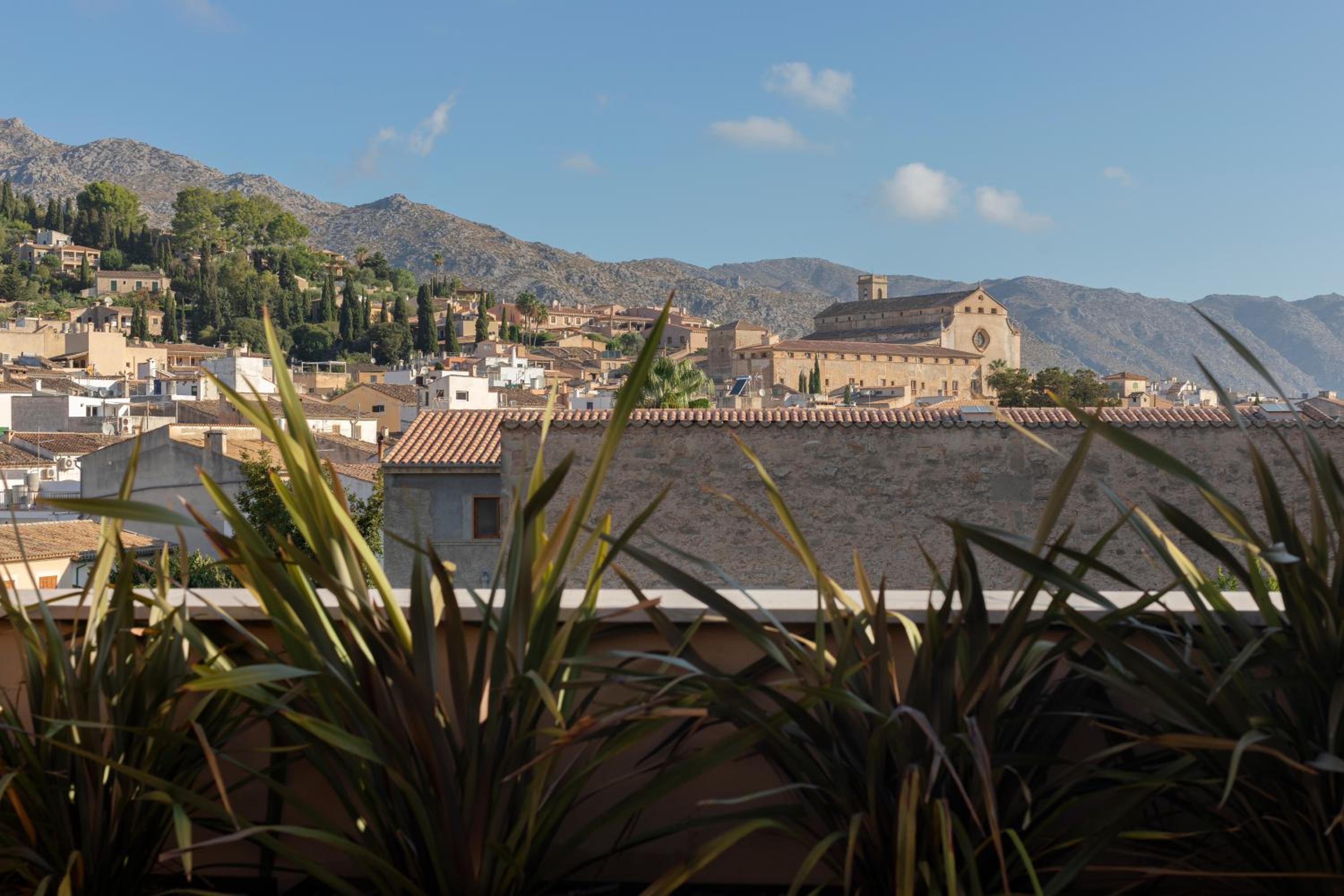 Suite con Terraza
