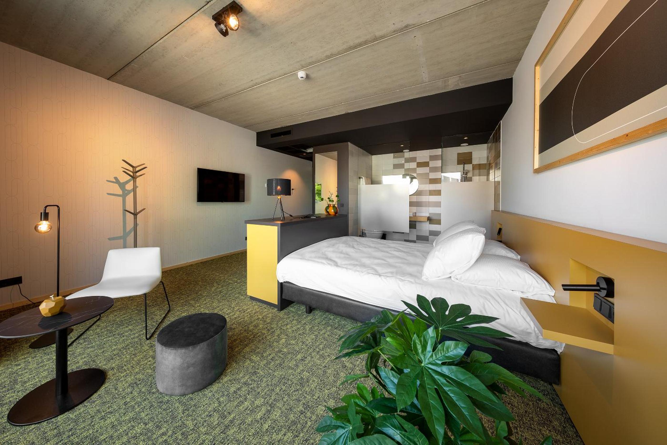 Suite photo 2