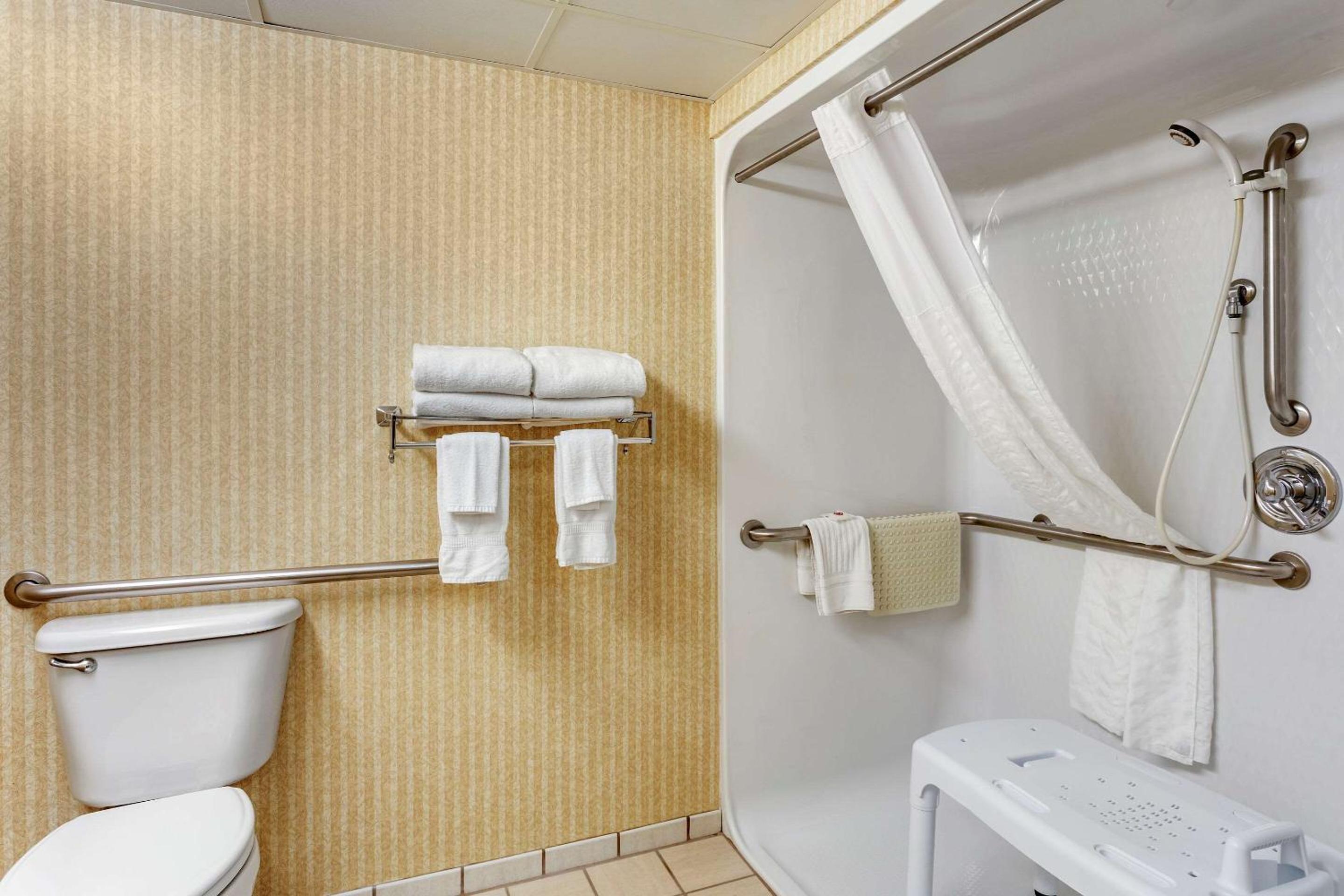 King Room with Roll-In Shower - Accessible/Non-Smoking - Photo 6