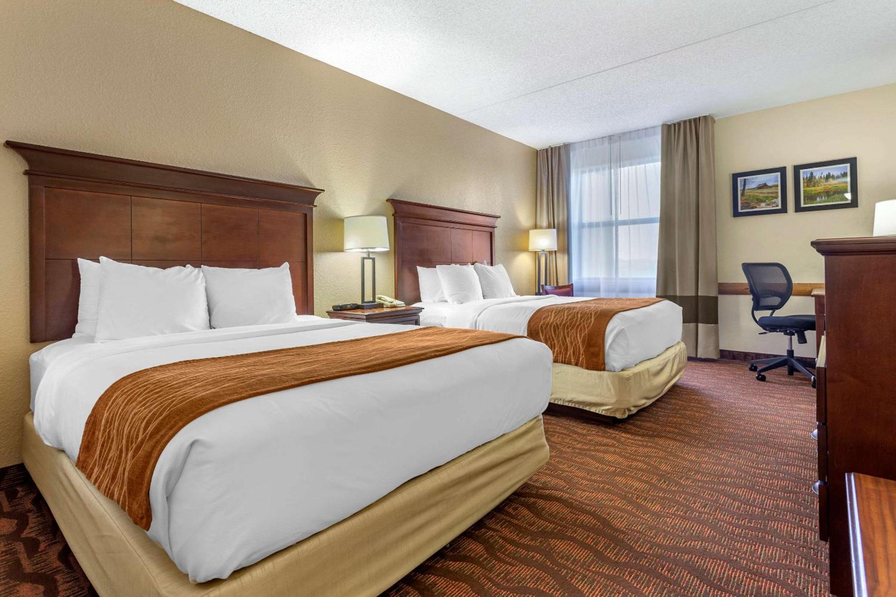 Queen Room with Two Queen Beds - Non-Smoking - Photo 8