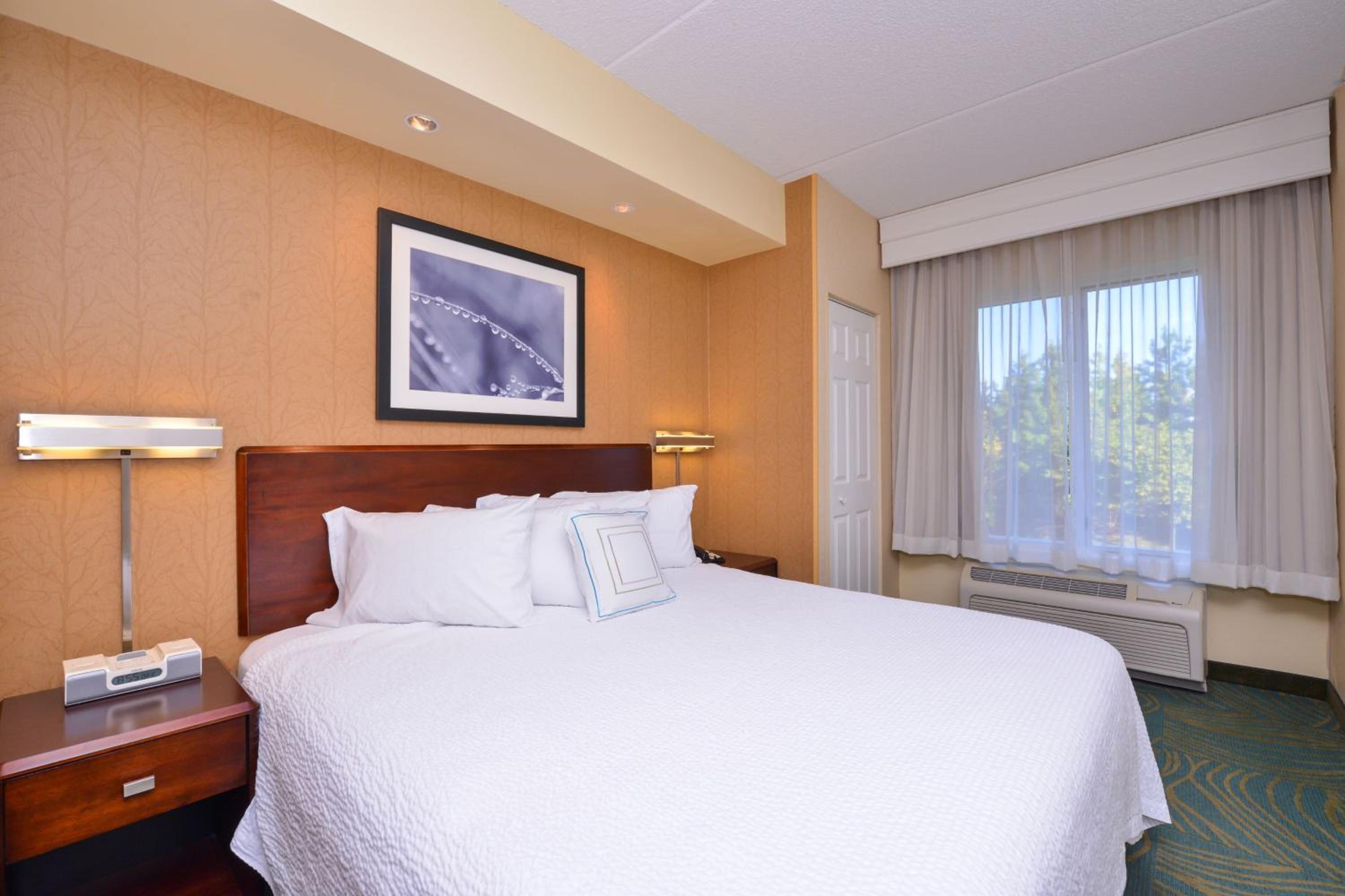 King Suite with Roll-In Shower and Sofa Bed - Mobility Access/Hearing Accessible