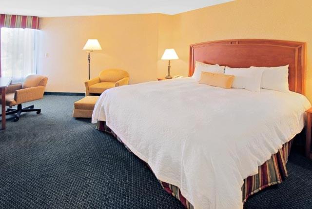 King Room - Non-Smoking - Photo 1