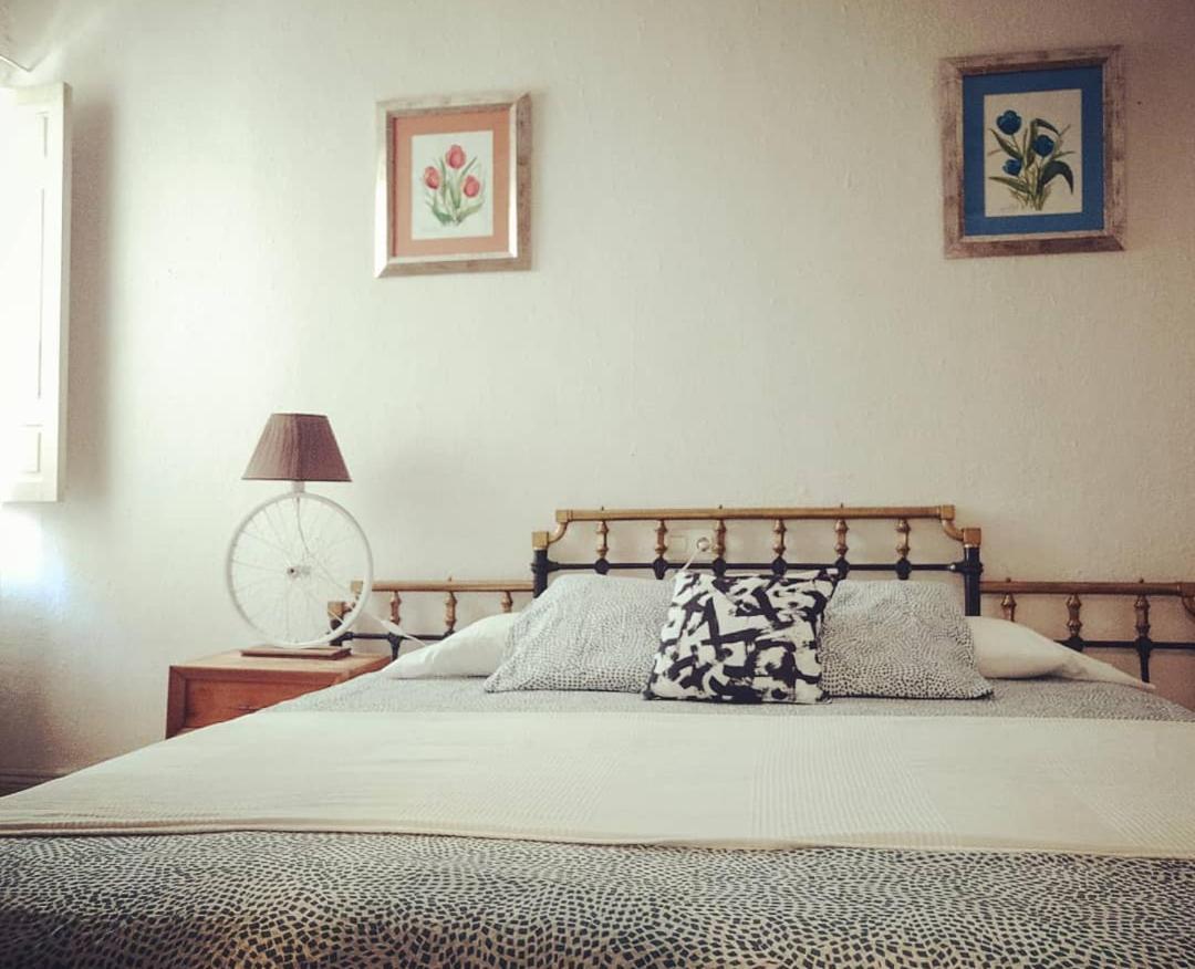 Double or Twin Room photo 3