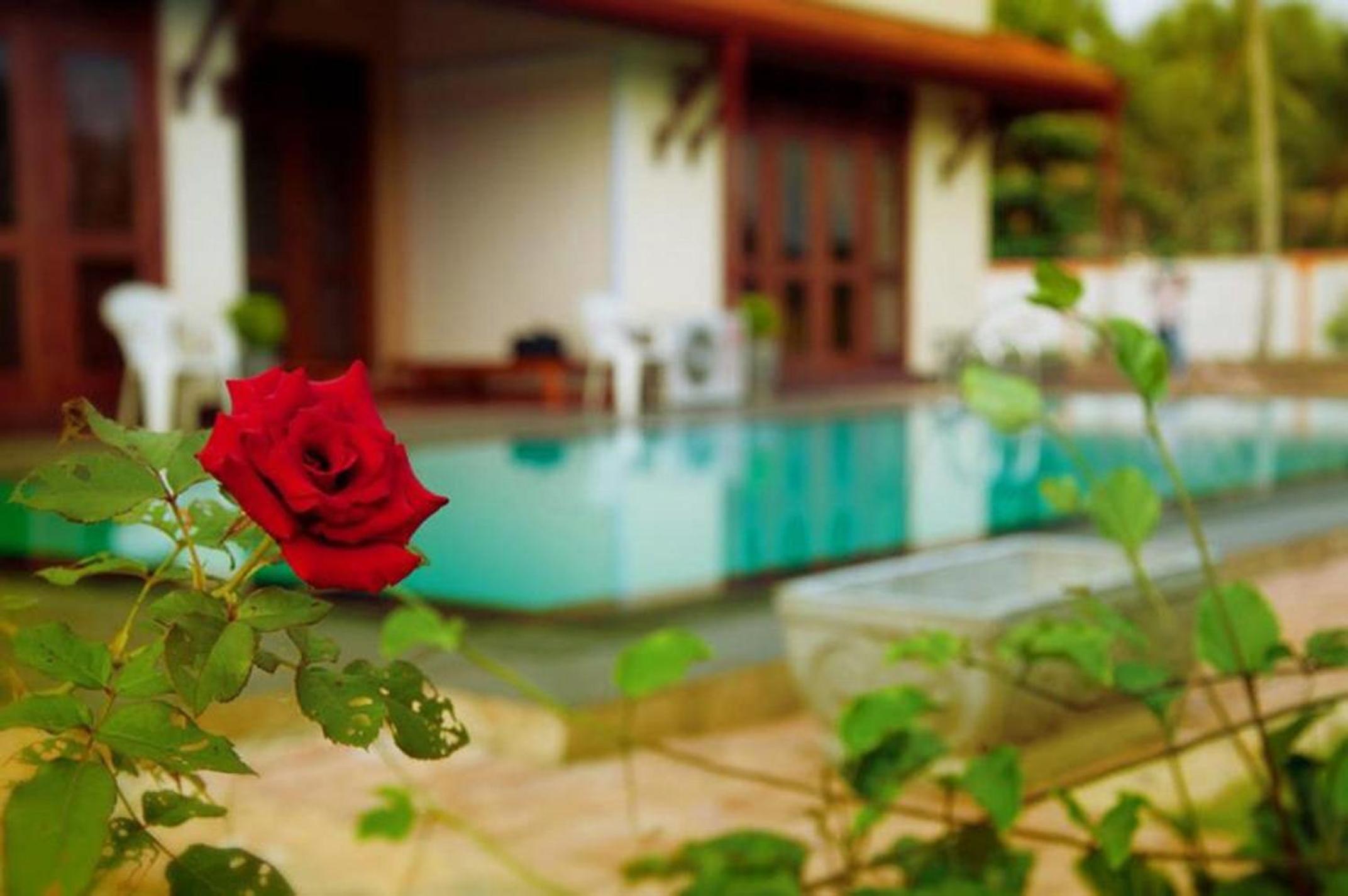 Two-Bedroom Villa with Pool View photo 3