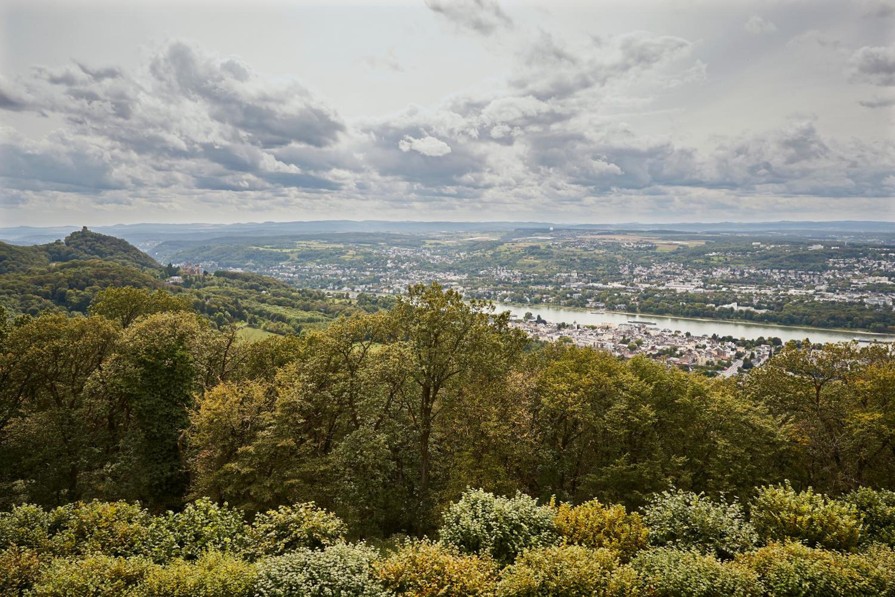 Executive Suite – Führungssuite photo