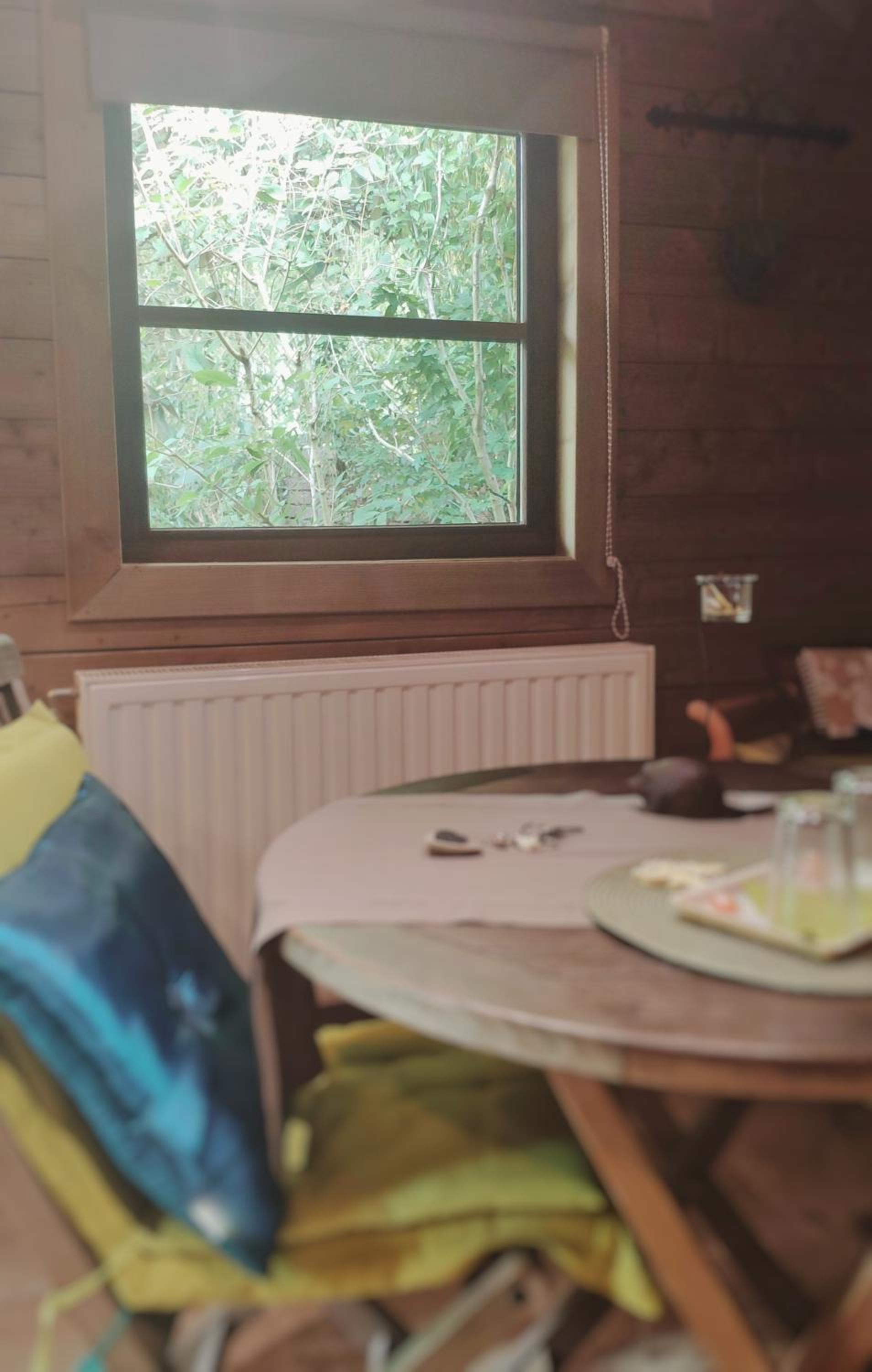King Room with Garden View photo 2