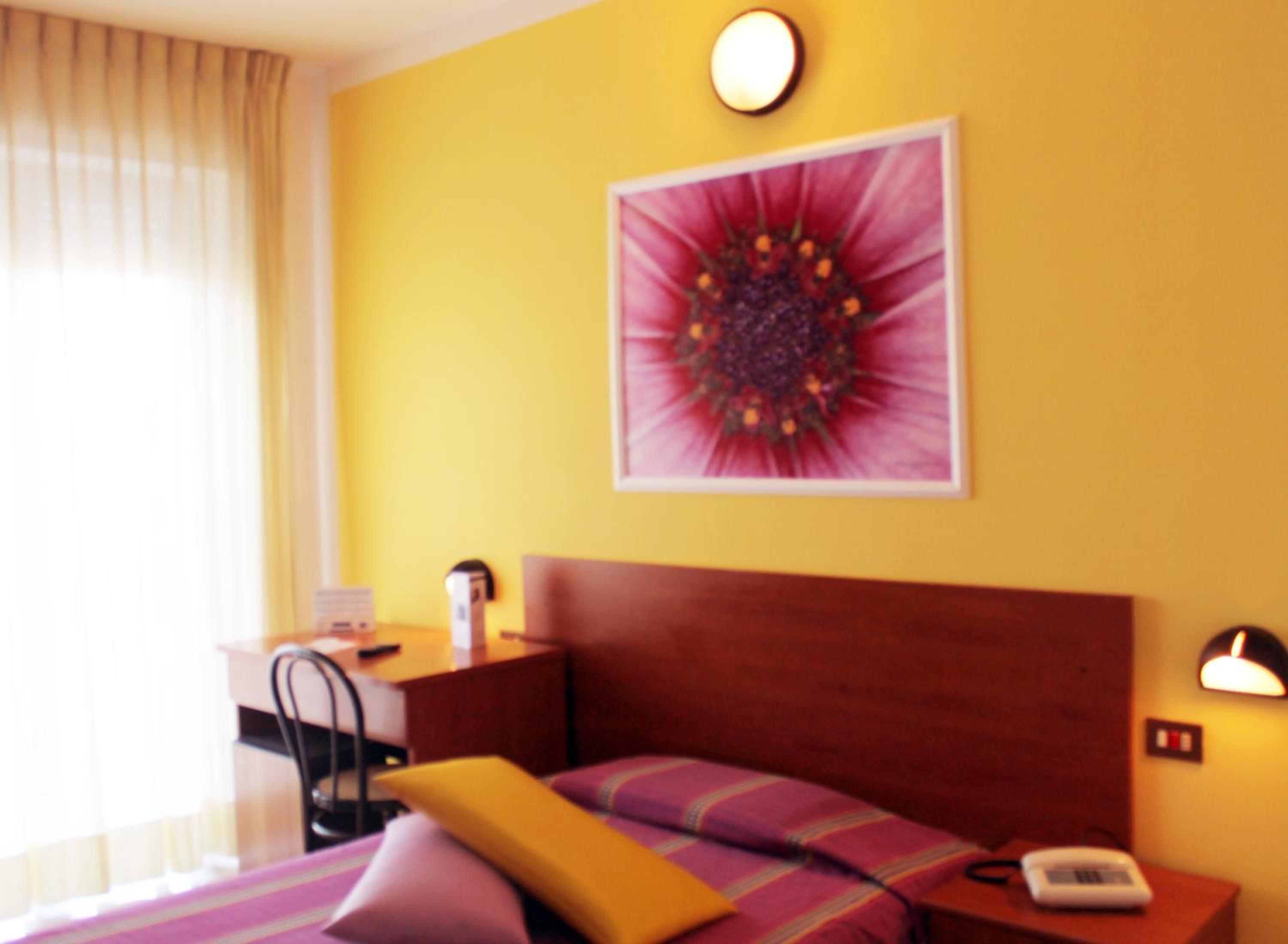 Single Room photo 2