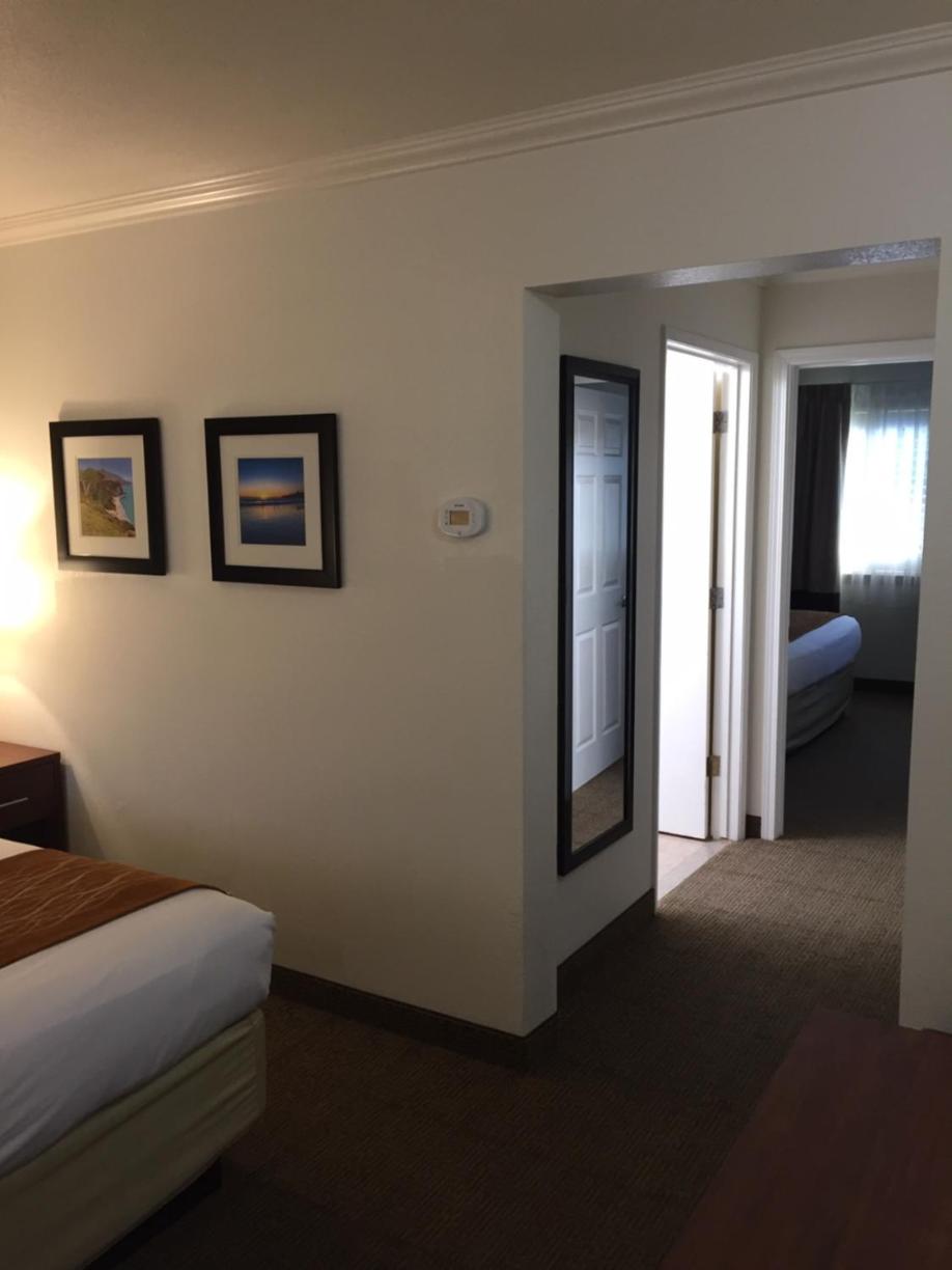 Quadruple Suite - Non-Smoking - Photo 3