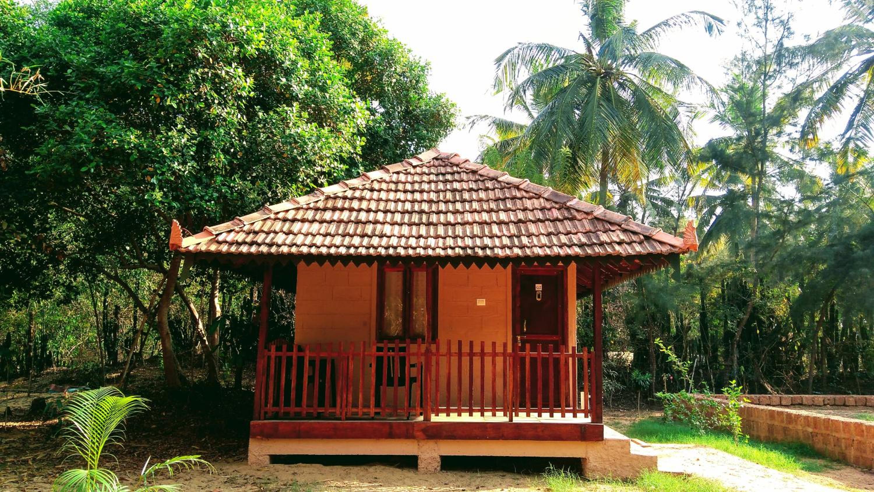 Standard Double Room - Photo 9