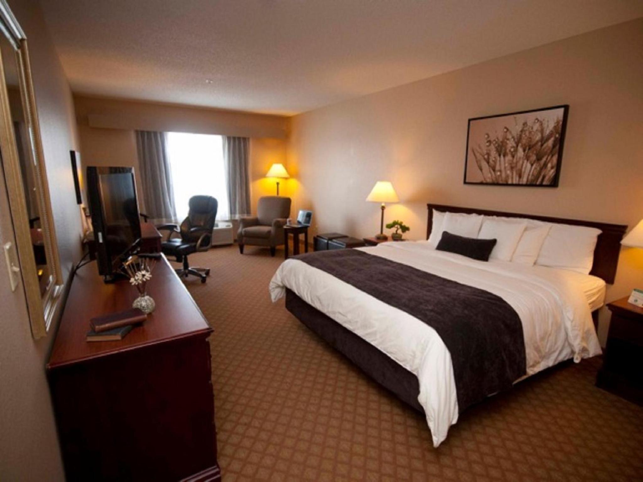 King Room photo 1
