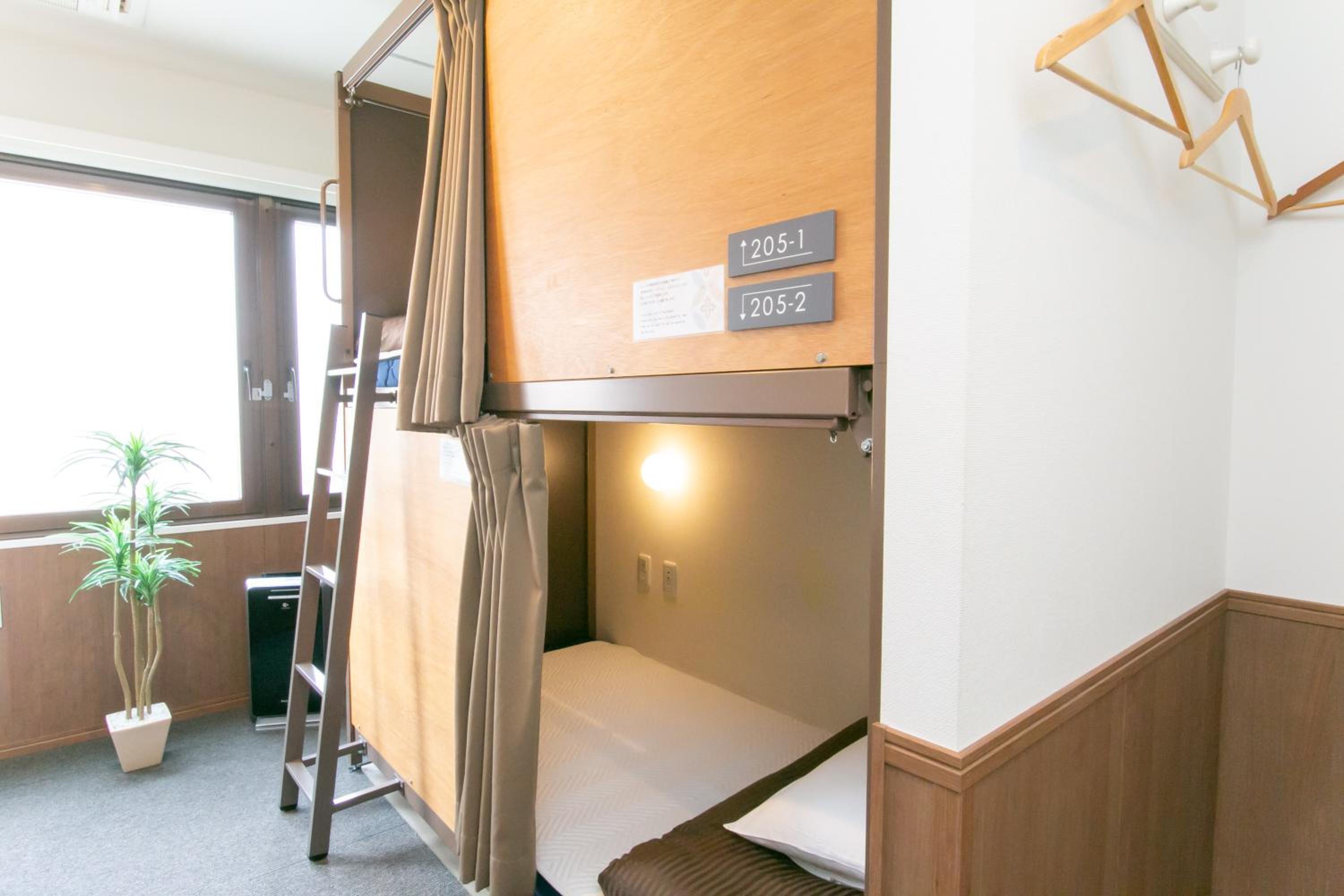 Bunk Bed in Mixed Dormitory Room photo 1