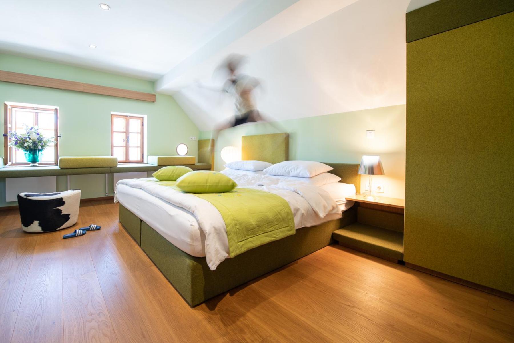 Deluxe Double or Twin Room photo 2