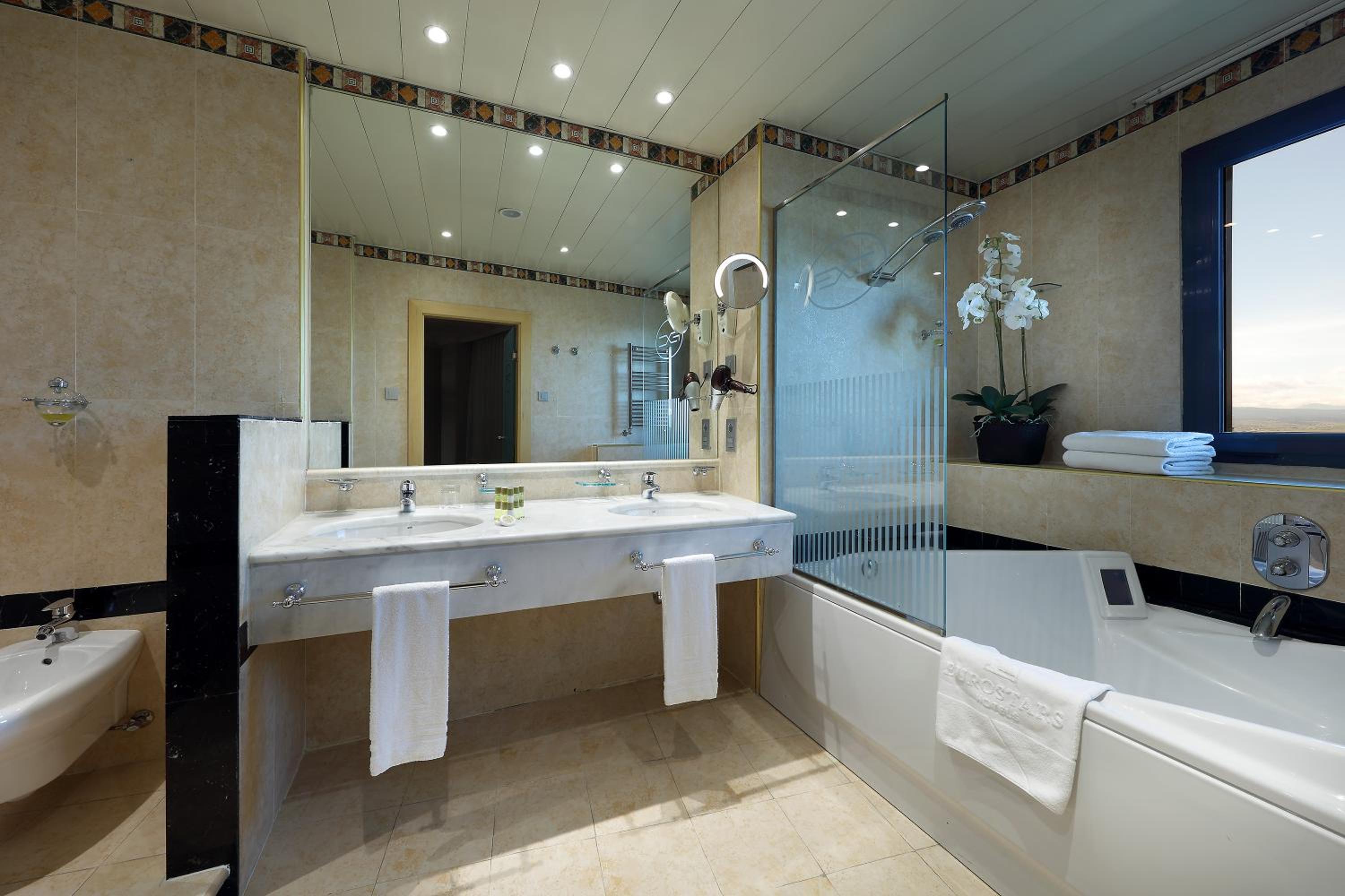 Suite - Photo 2