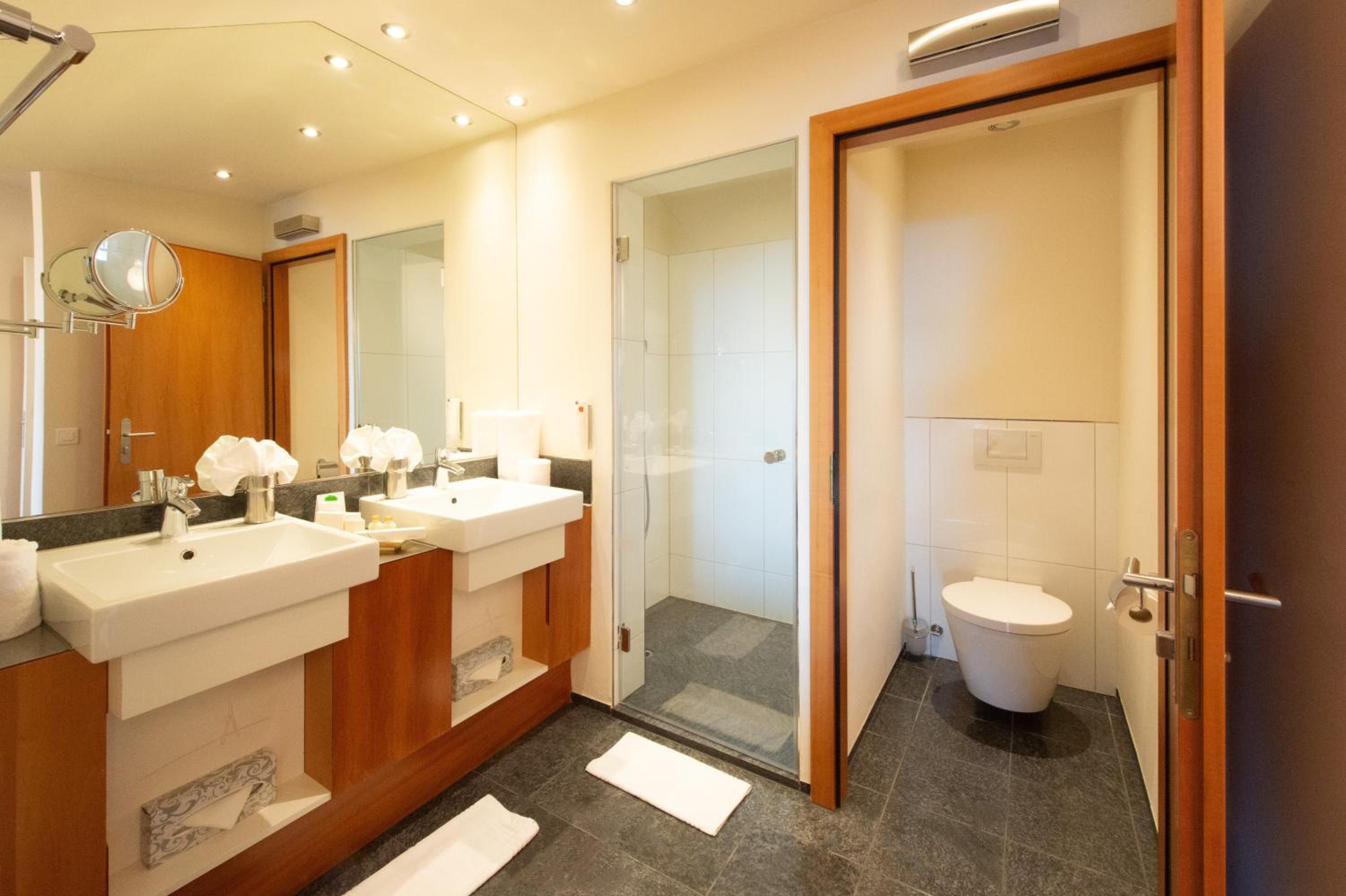  Junior Suite with Alps and Lake View - Photo 5